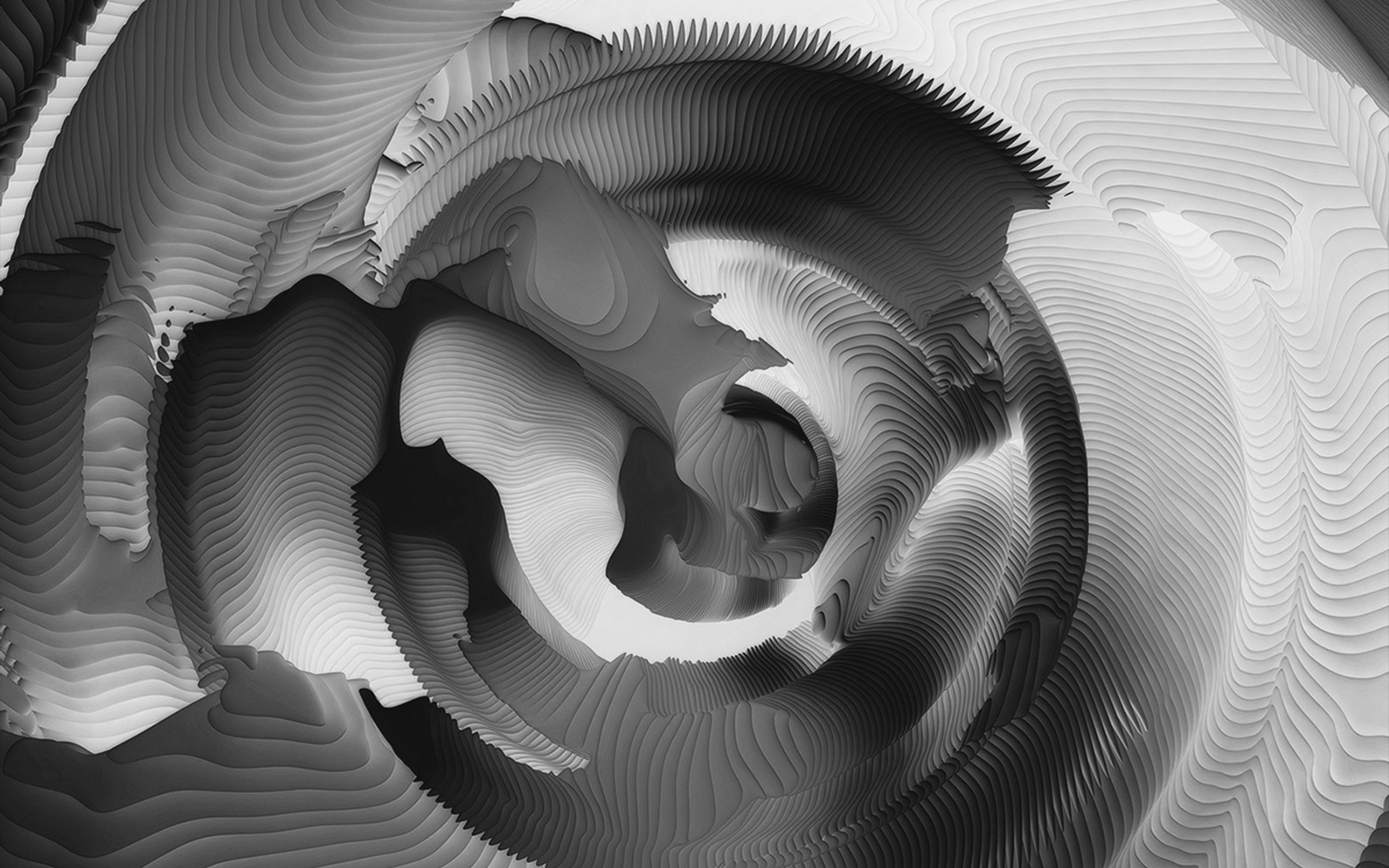 quiz, art, bw, pattern, 4K, abstract, HD Wallpaper