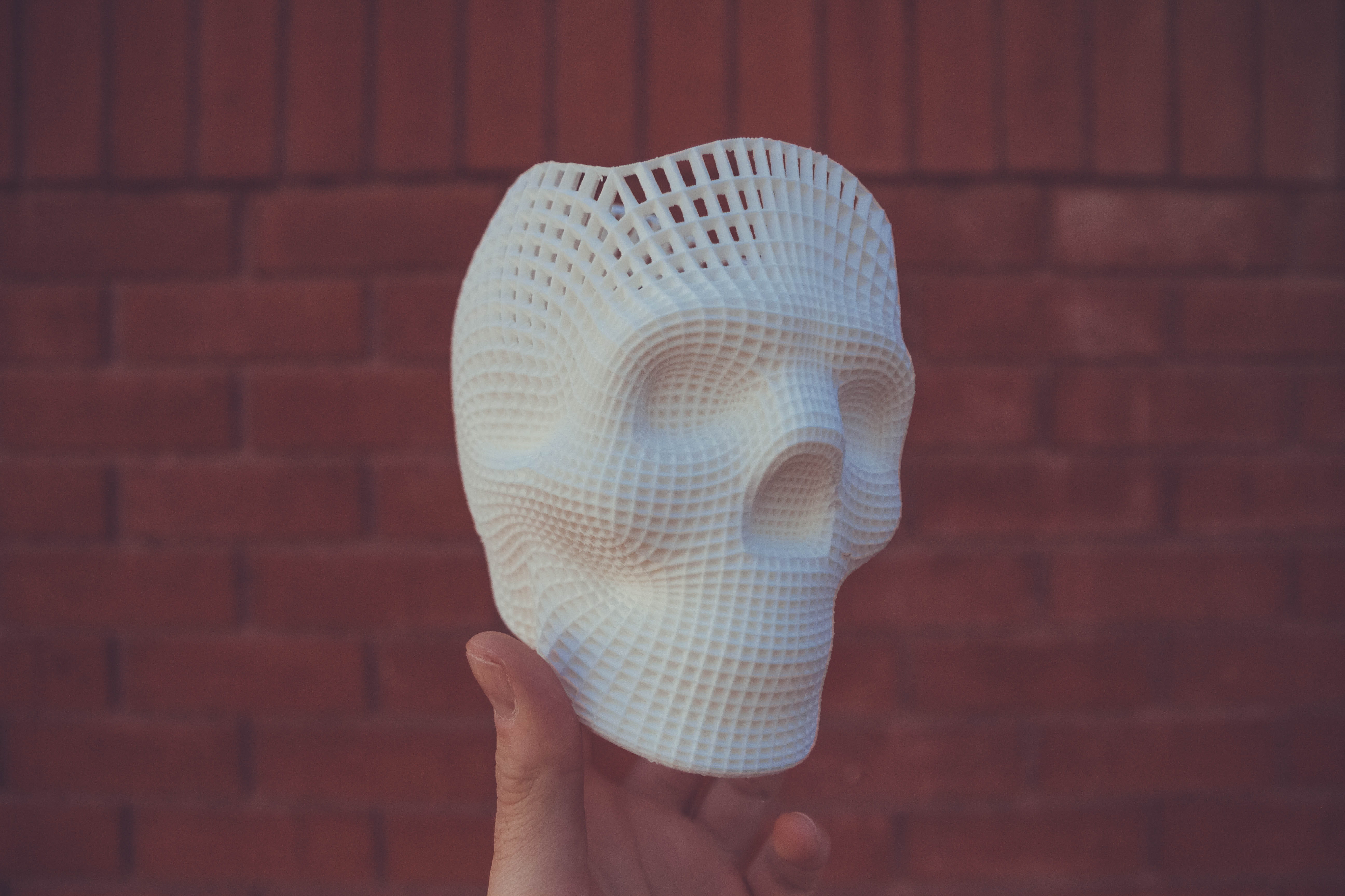 wall, body part, holidng, 3d printed, neonbrand digital marketing, one person, downtown, 5K, human hand, blog, 3d printer, las vegas, grid, skulls, printed, HD Wallpaper