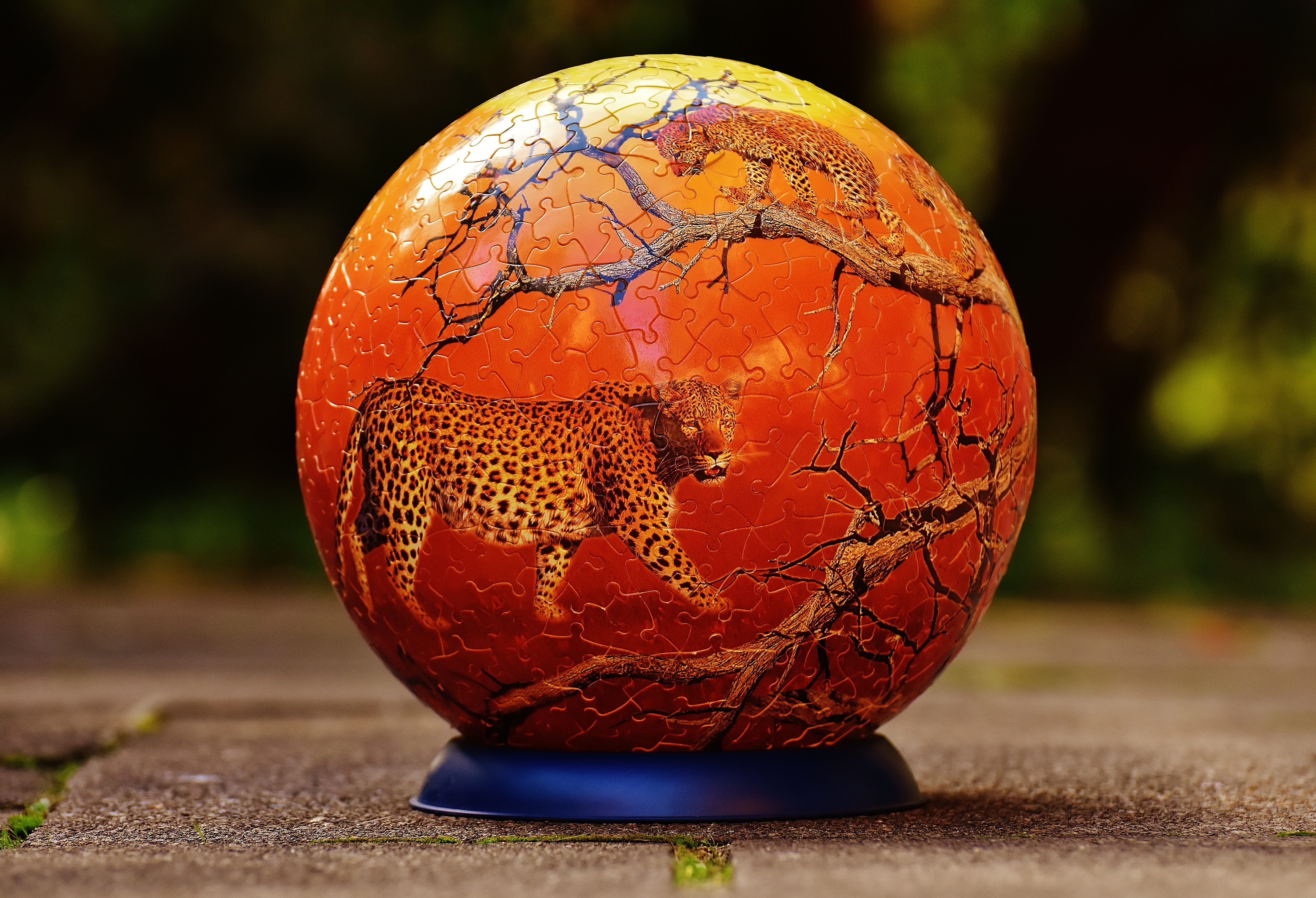 wild animals, single object, sport, food and drink, nature, ball, craft, stand, toys, art and craft, puzzle piece, close-up, patience games, table, fruit, HD Wallpaper