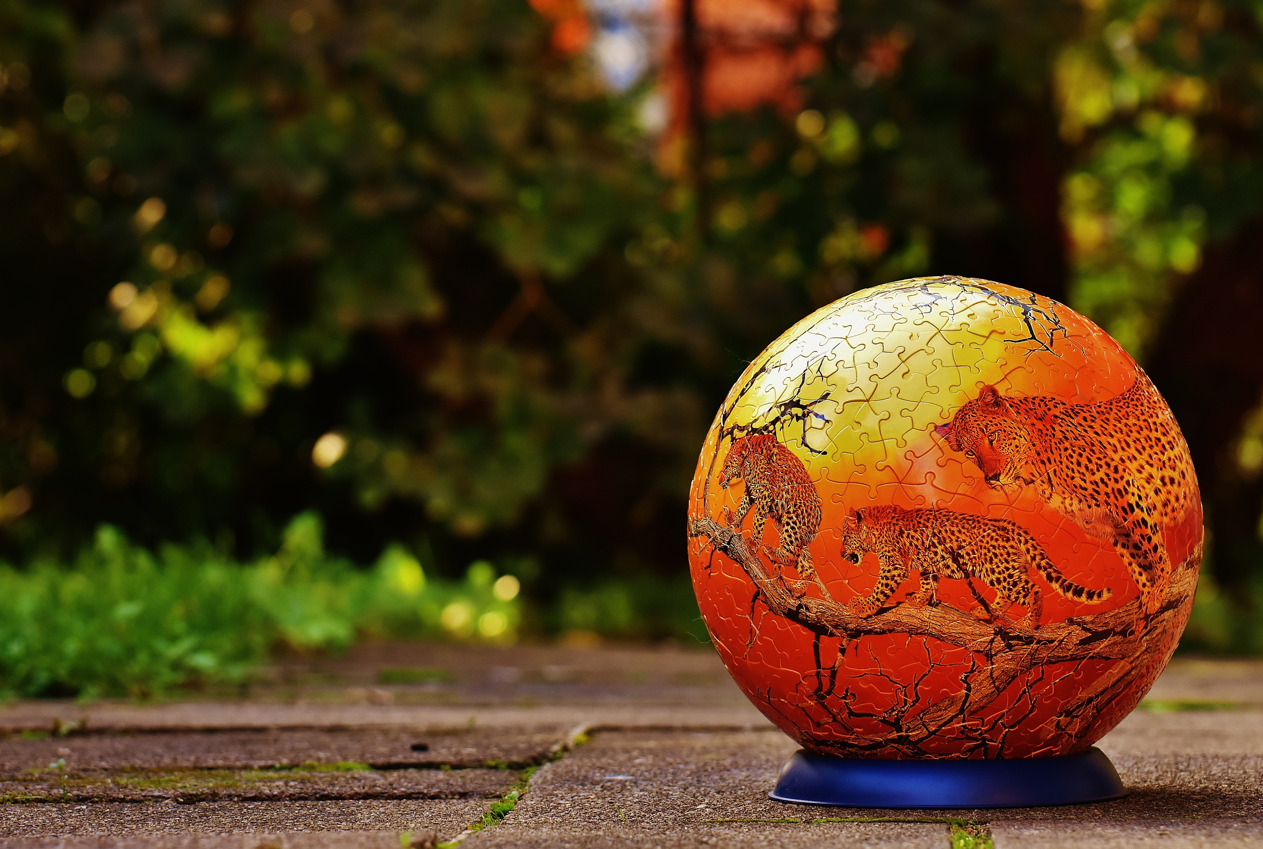 wild animals, stand, tricky, green color, planet earth, footpath, sunlight, single object, art and craft, puzzle piece, nature, focus on foreground, globe - man made object, HD Wallpaper