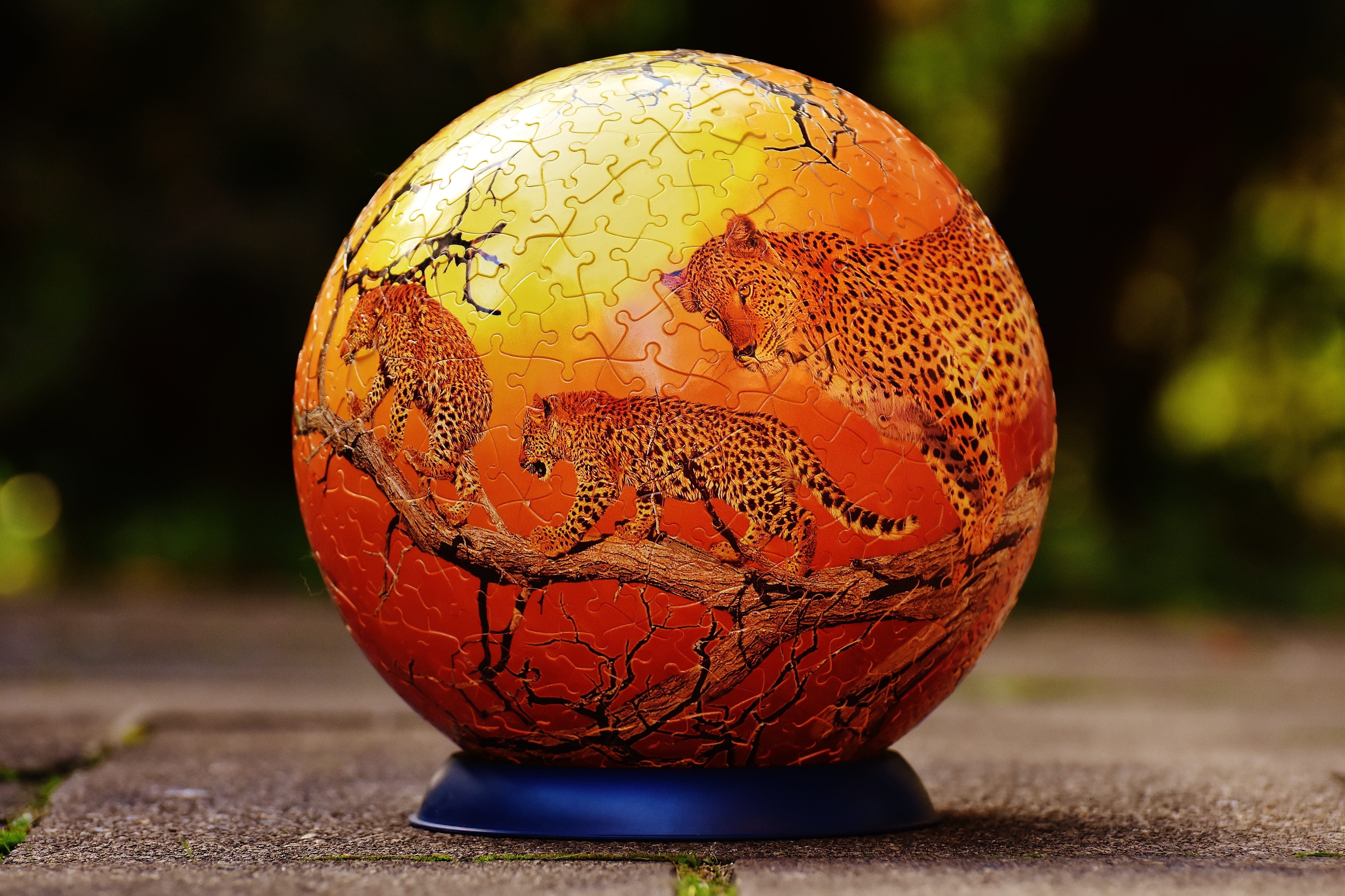 outdoors, fun, tricky, planet earth, close-up, damaged, wild animals, land, nature, globe - man made object, planet - space, patience games, play, no people, HD Wallpaper