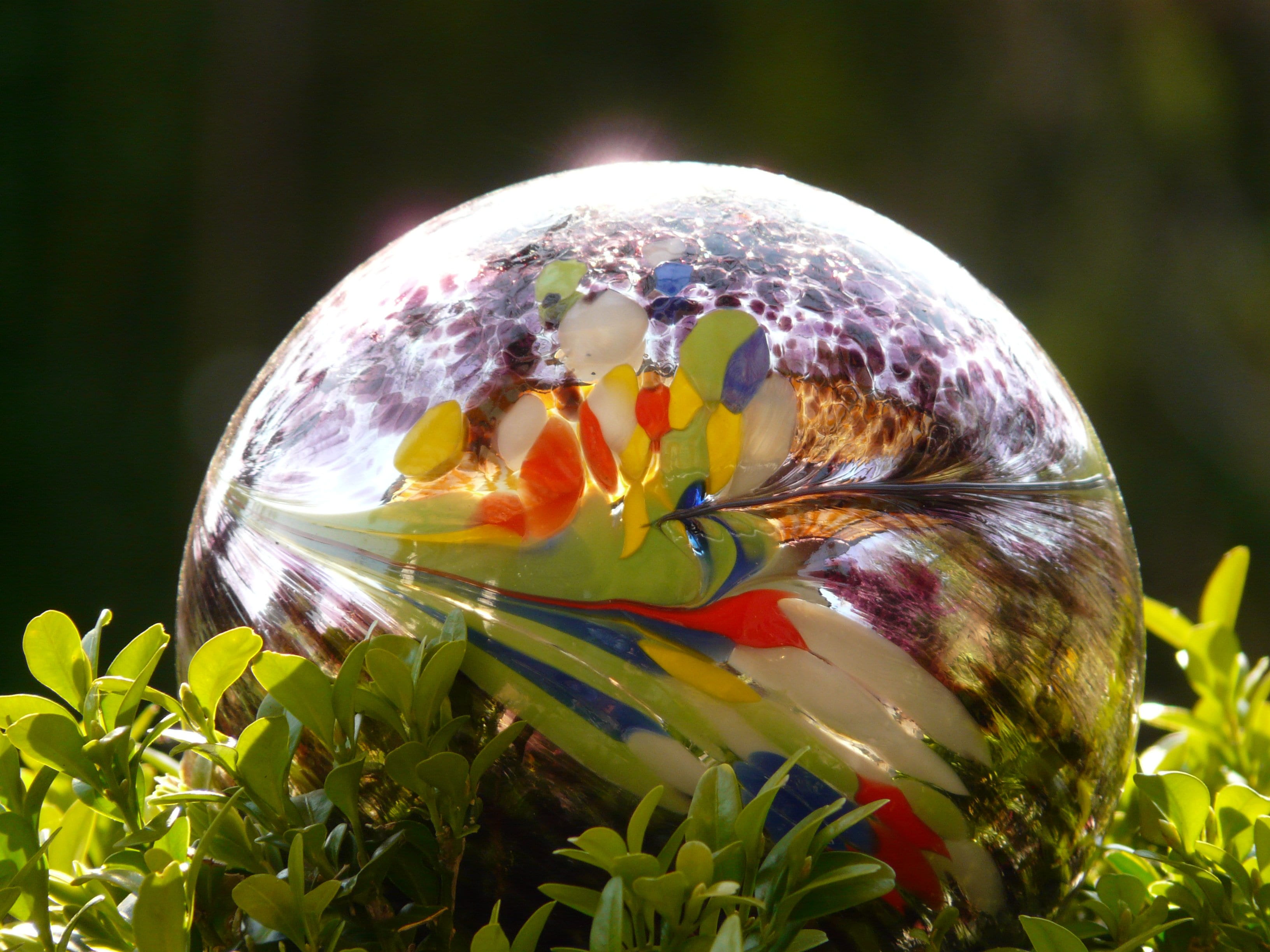 decoration, flower, fragility, outdoors, petal, easter egg, no people, flowering plant, garden, egg, day, flower head, 2K, oracle, freshness, multi colored, HD Wallpaper