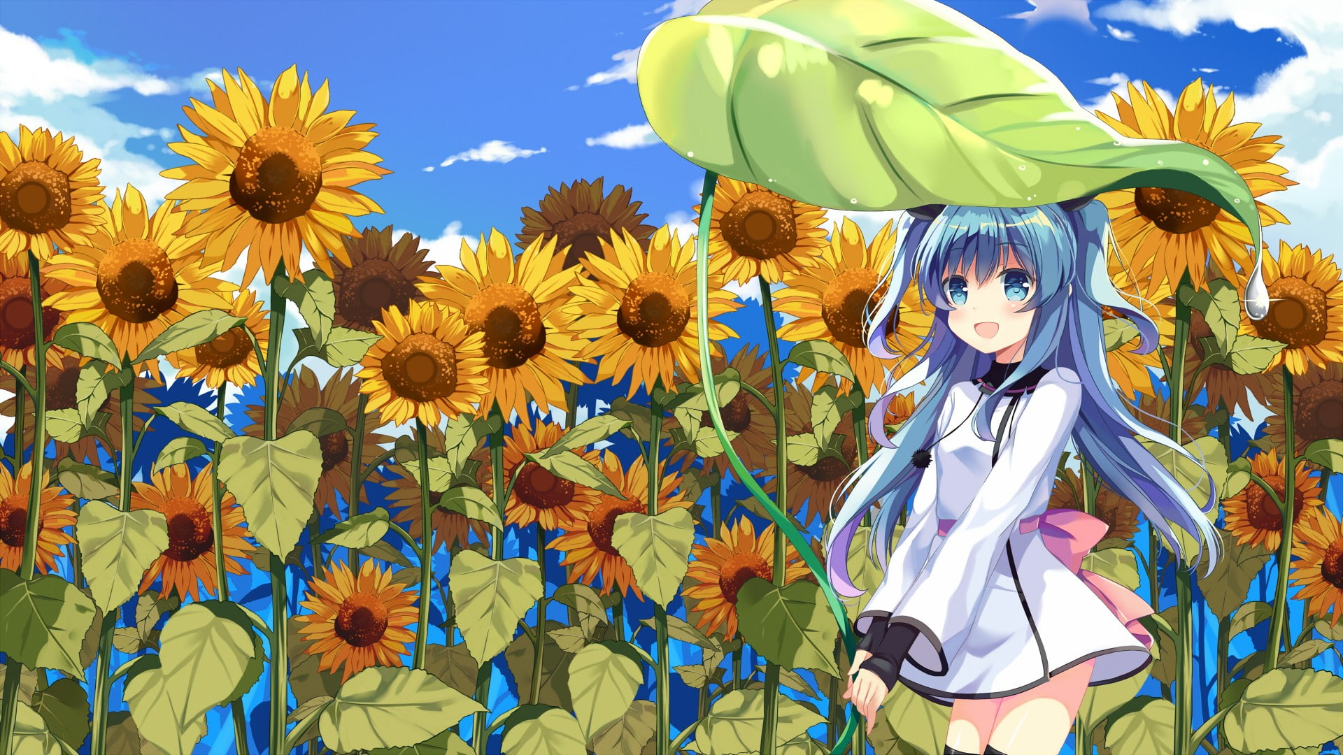 anime girls, blue hair, anime, sunflowers, blue eyes, Noel (Sora no Method), long hair, 1080P, dress, Sora no Method, HD Wallpaper
