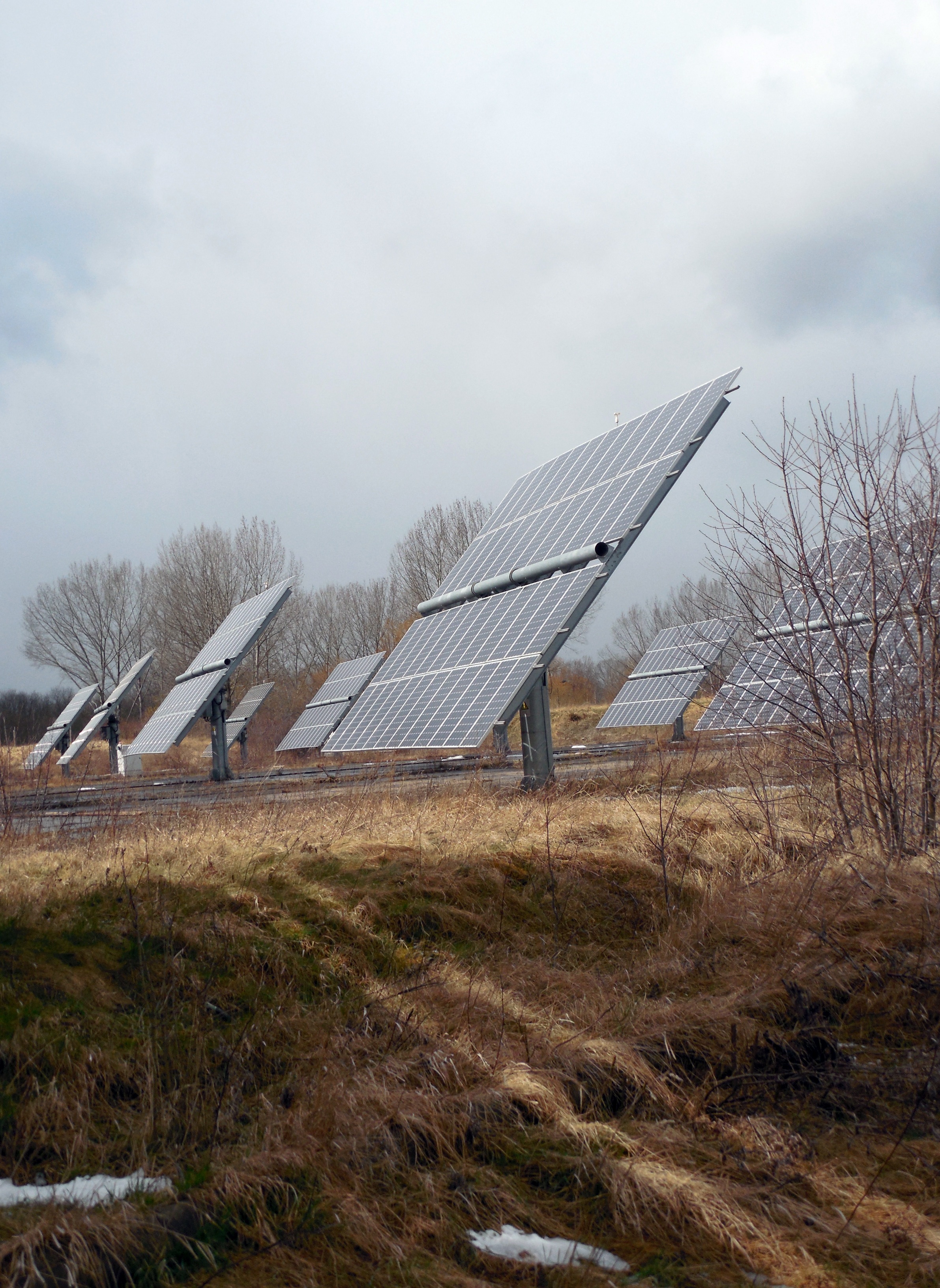 bare tree, nature, beauty in nature, solar panel, sky, renewable energy, fuel and power generation, tranquil scene, demand for electricity, solar cells, Phone HD Wallpaper