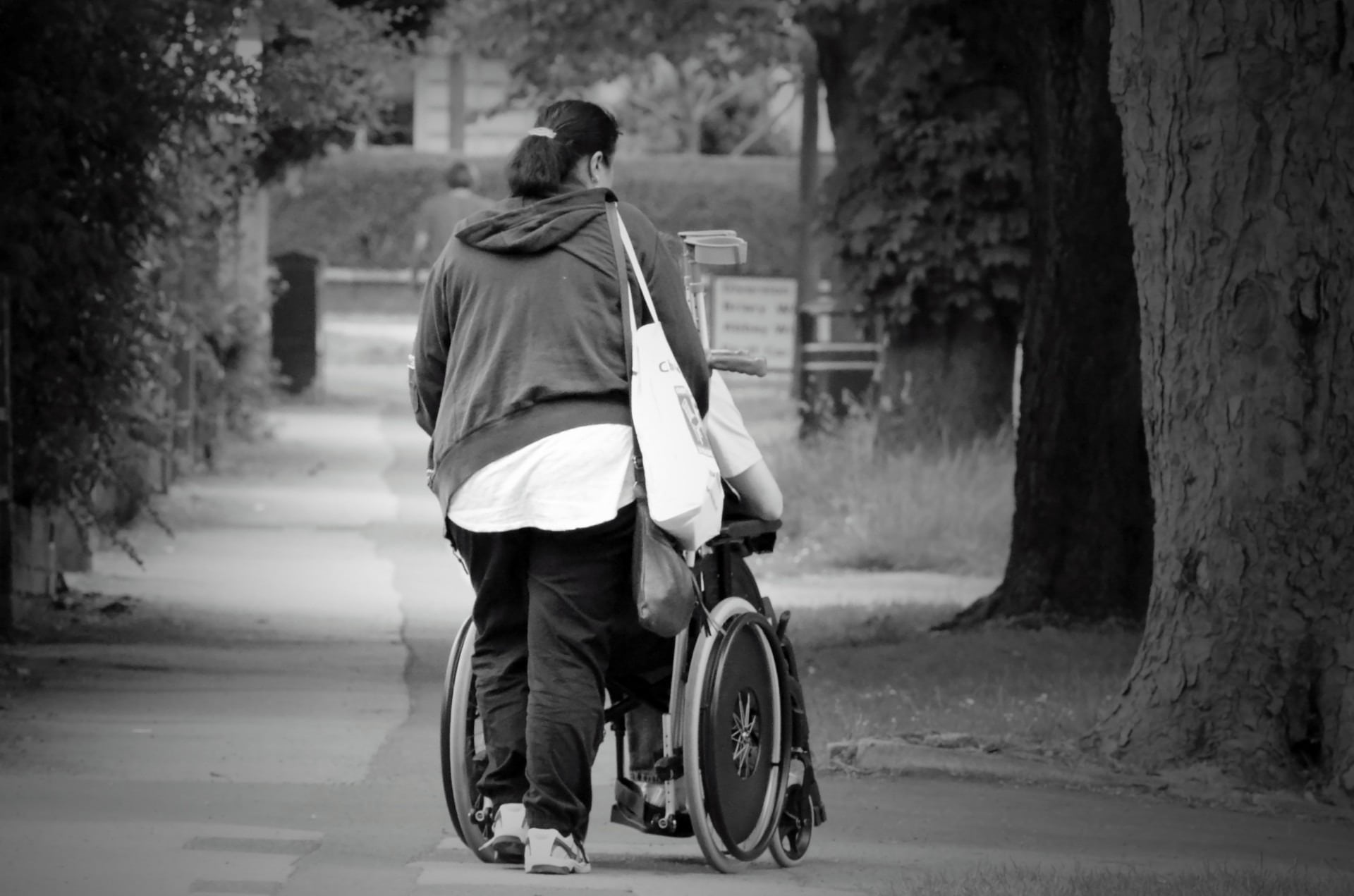 traffic, accessible, casual clothing, elderly, help, way, walking, adult, rear view, street, one person, disability, obstacle, disabled, immobility, senior, HD Wallpaper