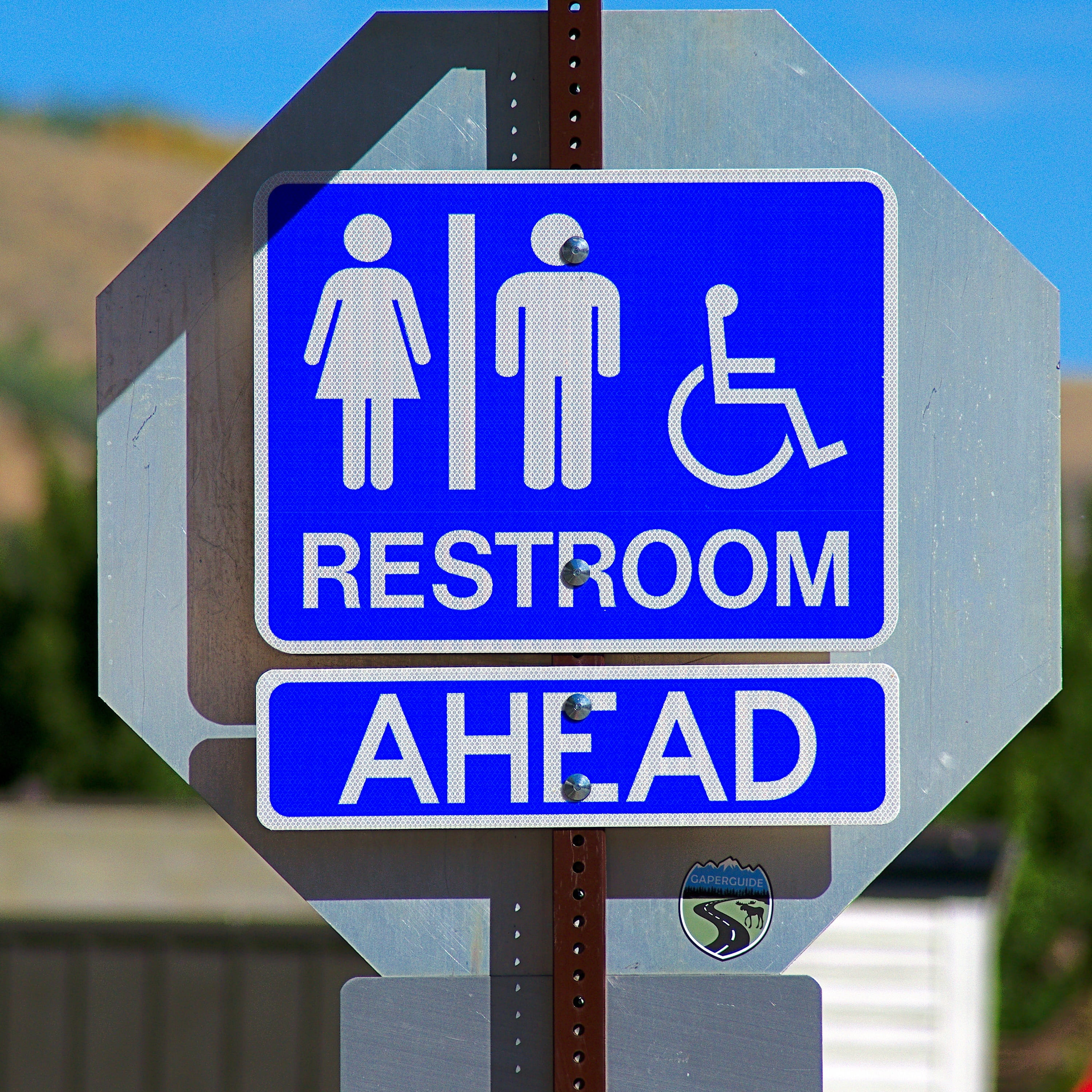 disabled access, western script, sign, female, blue, washroom, man, restroom, symbols, symbol, road sign, road, day, male, communication, guidance, woman, Phone HD Wallpaper