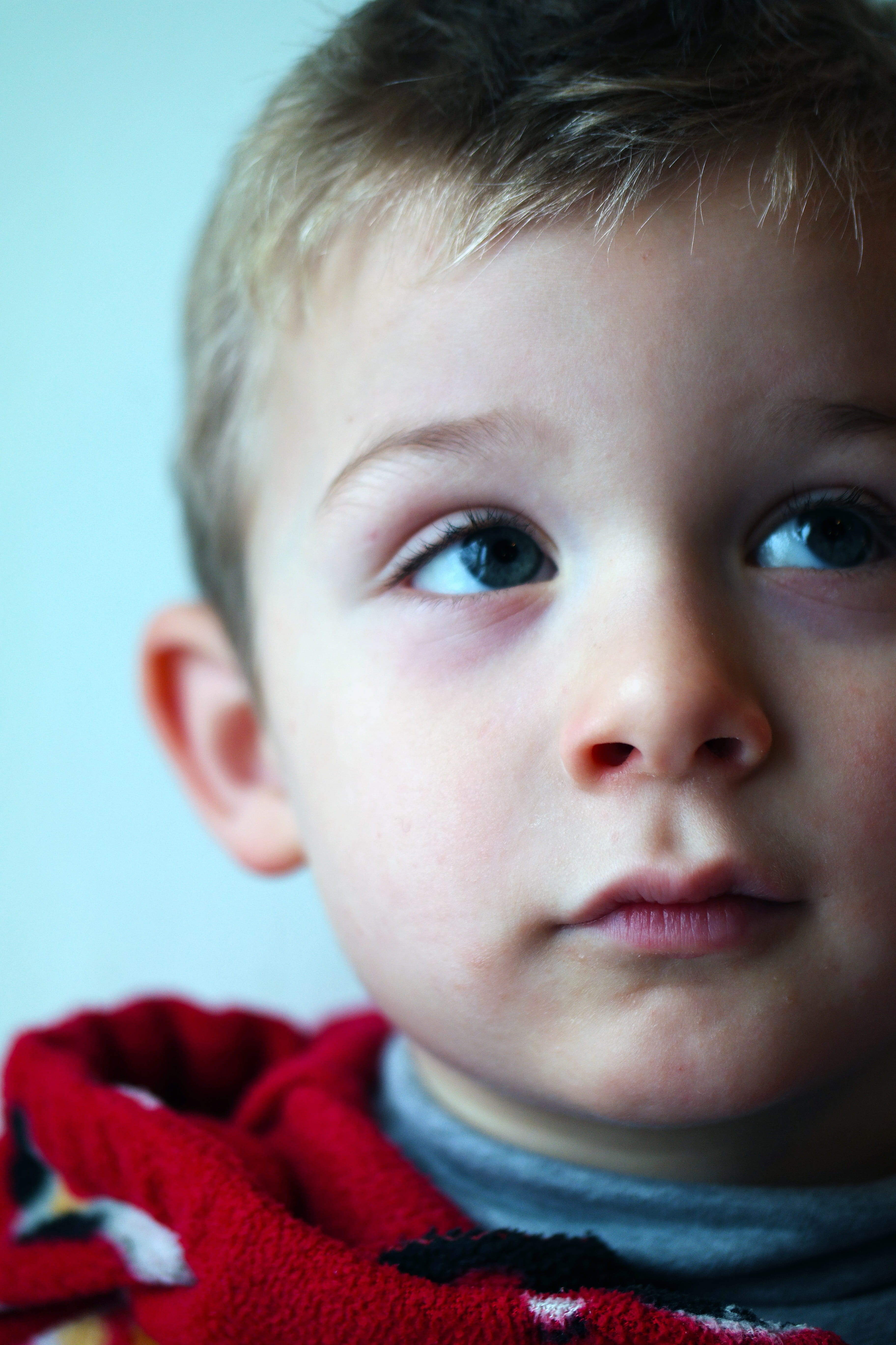 looking, kid, portrait, men, headshot, eye, is watching, childhood, little boy, toddler, males, child, one person, innocence, cute, real people, indoors, Phone HD Wallpaper