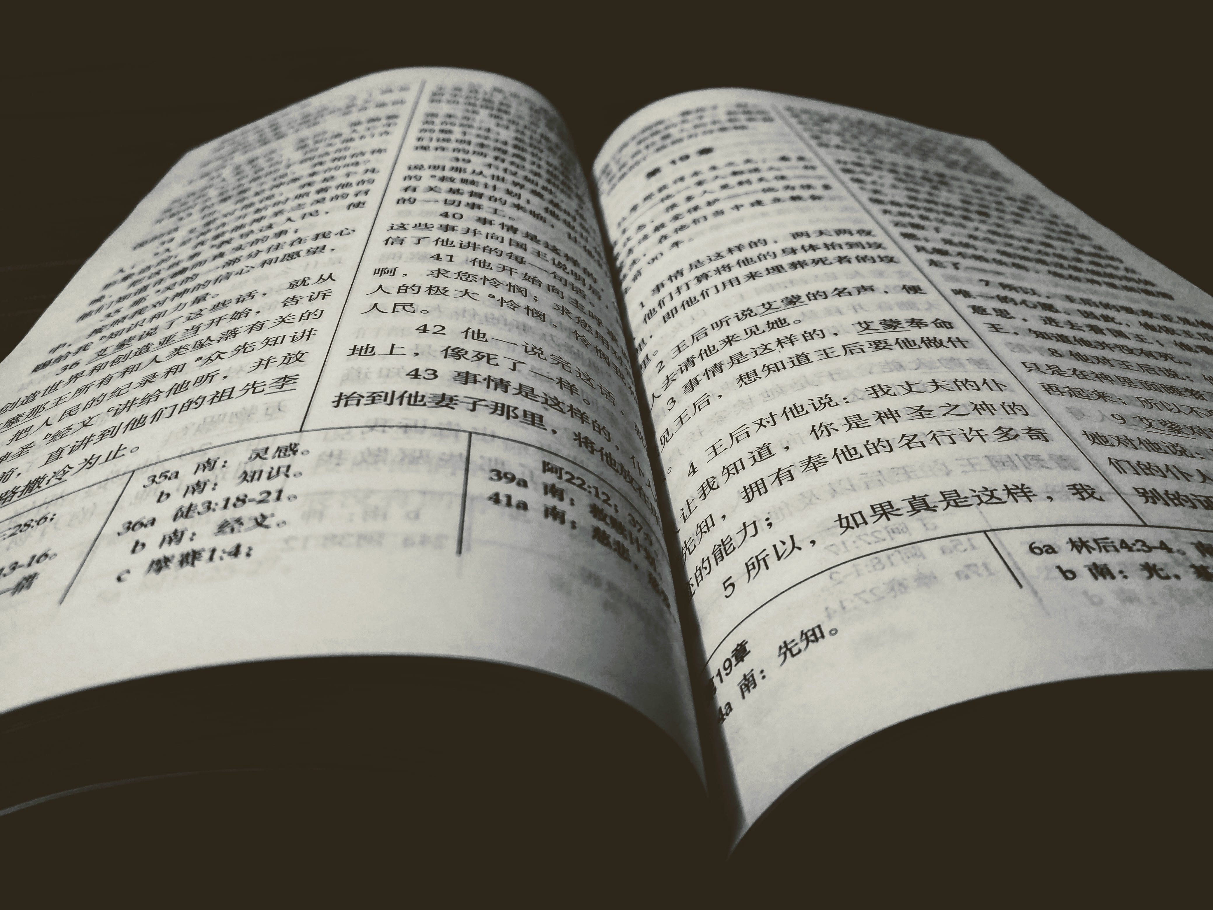 words, page, studio shot, pages, chinese, publication, sheet music, arts culture and entertainment, book, search, ponder, paper, language, 4K, high angle view, HD Wallpaper