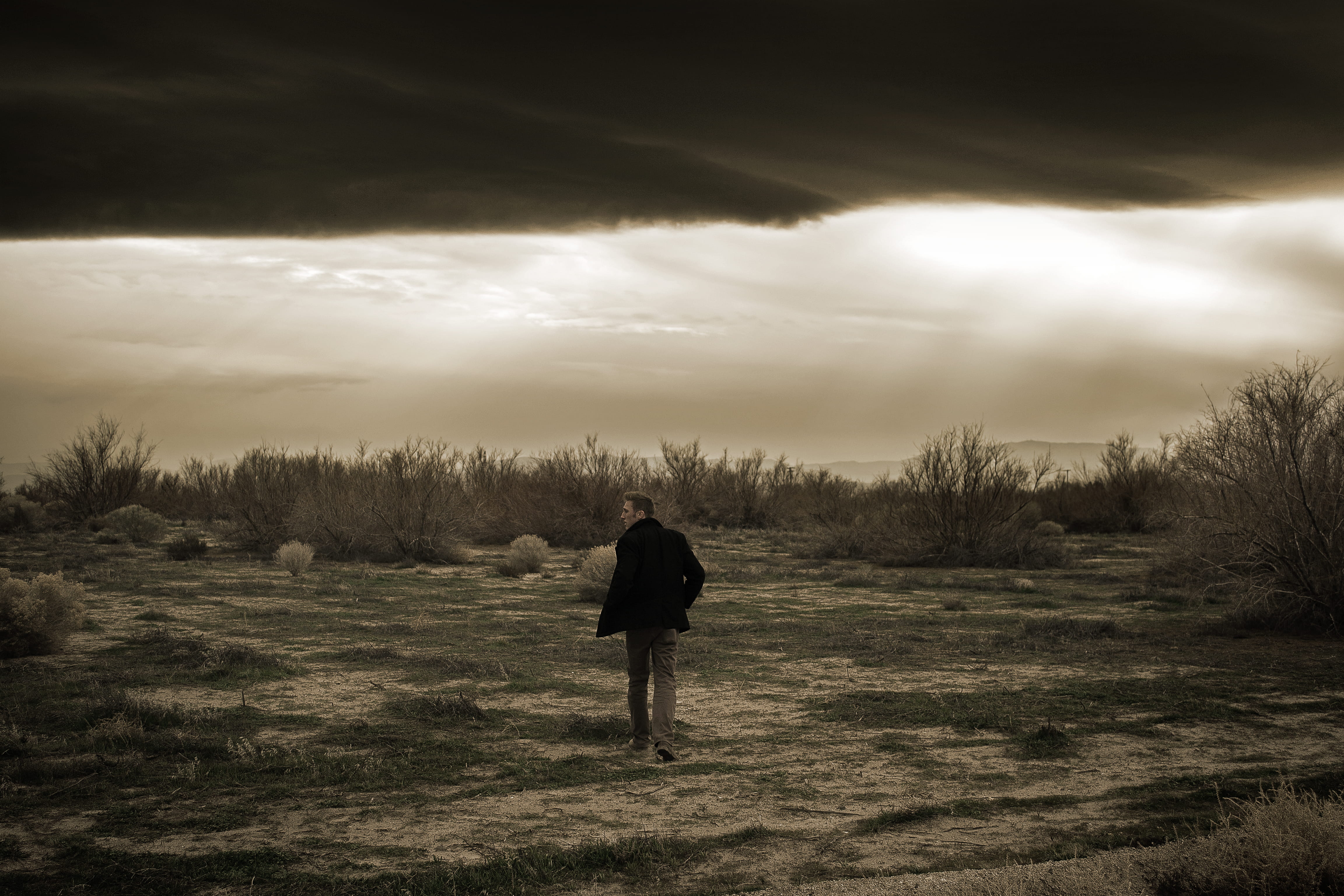 plant, wounderlust, wasteland, mood, sky, clouds, man, standing, one person, leisure activity, field, beauty in nature, lancaster, lifestyles, california, HD Wallpaper