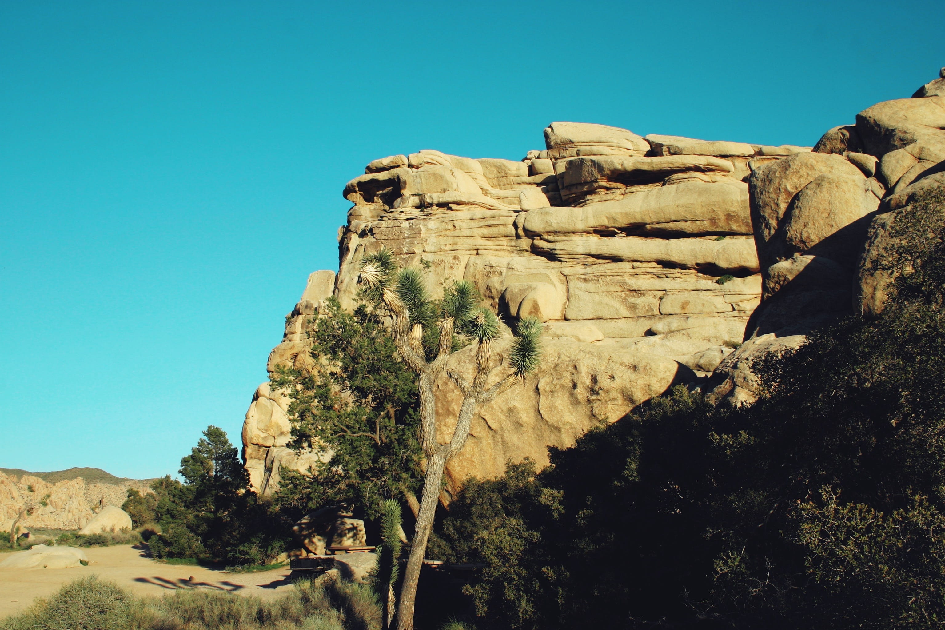 mesa, sun, desert, tree, formation, beauty in nature, day, 2K, scenics - nature, plant, scenery, no people, stare, blue, solid, california, dawn, peaceful, HD Wallpaper