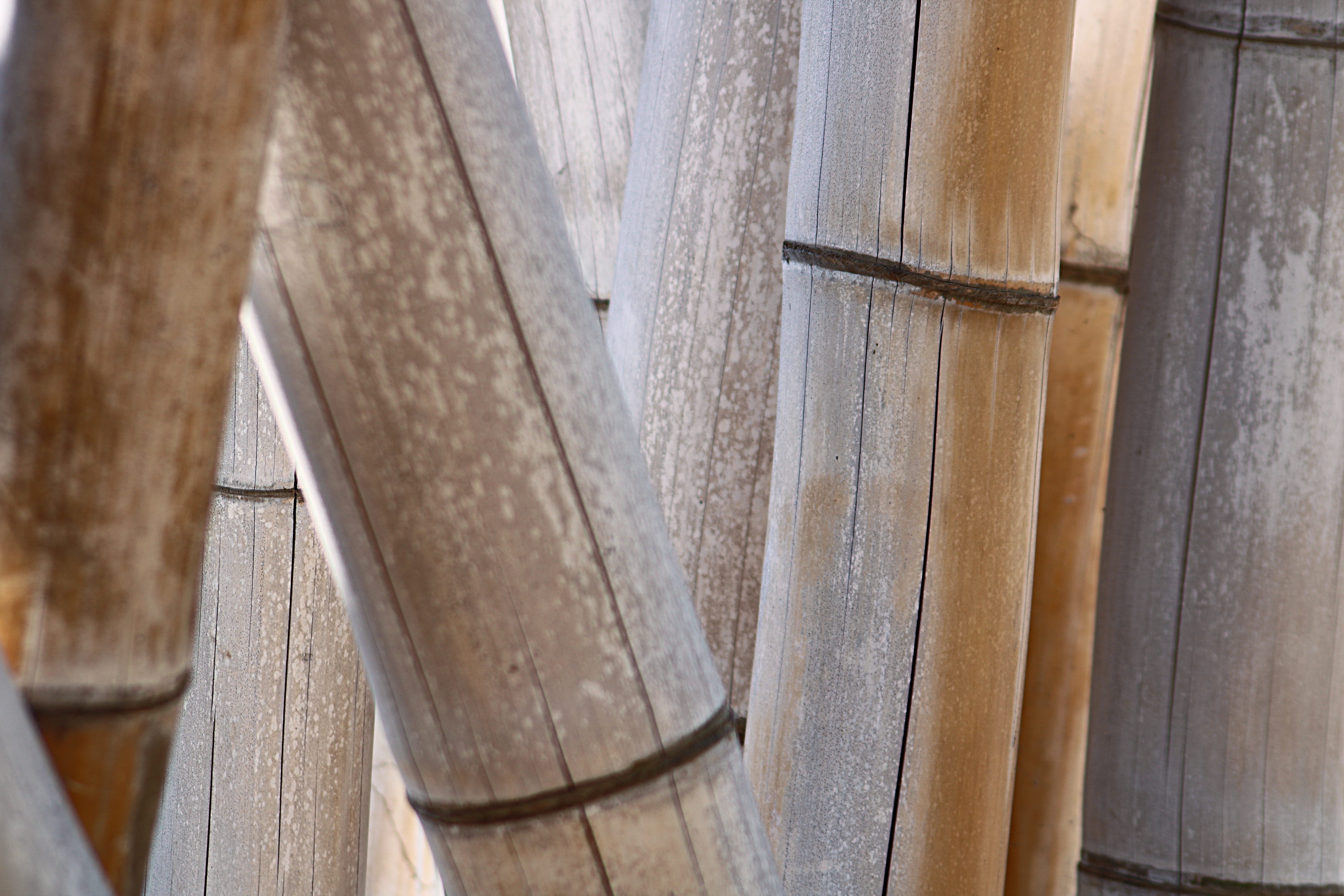 close-up, backgrounds, sit, wall, 5K, watch, white, hike, architectural column, textured, look, industry, equipment, no people, outdoor, pattern, bamboo, HD Wallpaper