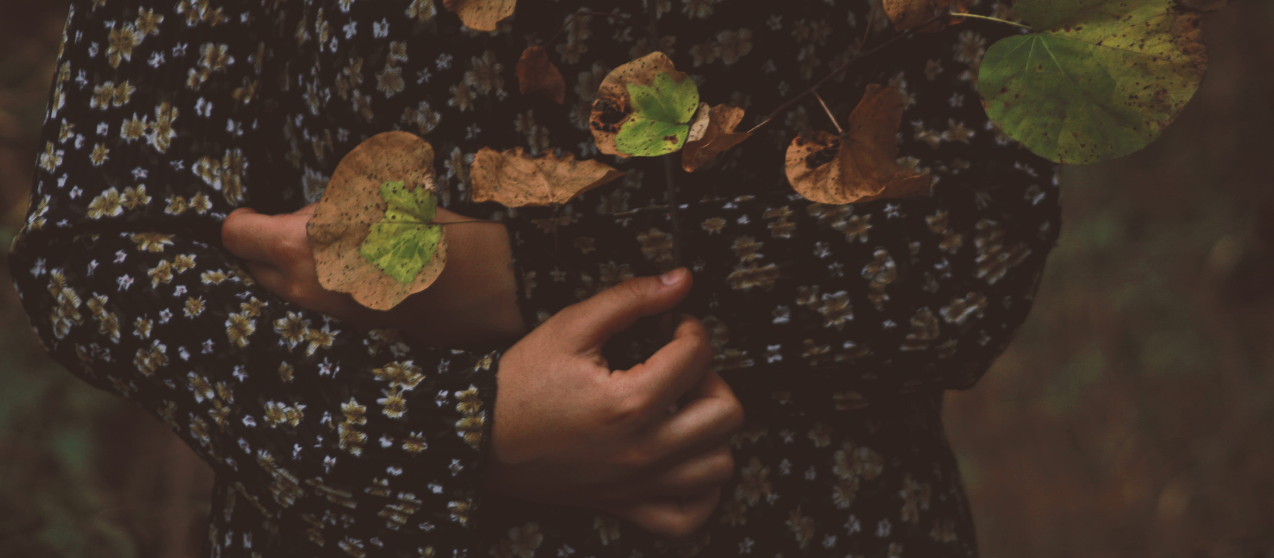 blurred background, lifestyles, side view, grow, top, black, flowers, one person, recreation, focus on foreground, environment, holding, photo, nature, HD Wallpaper