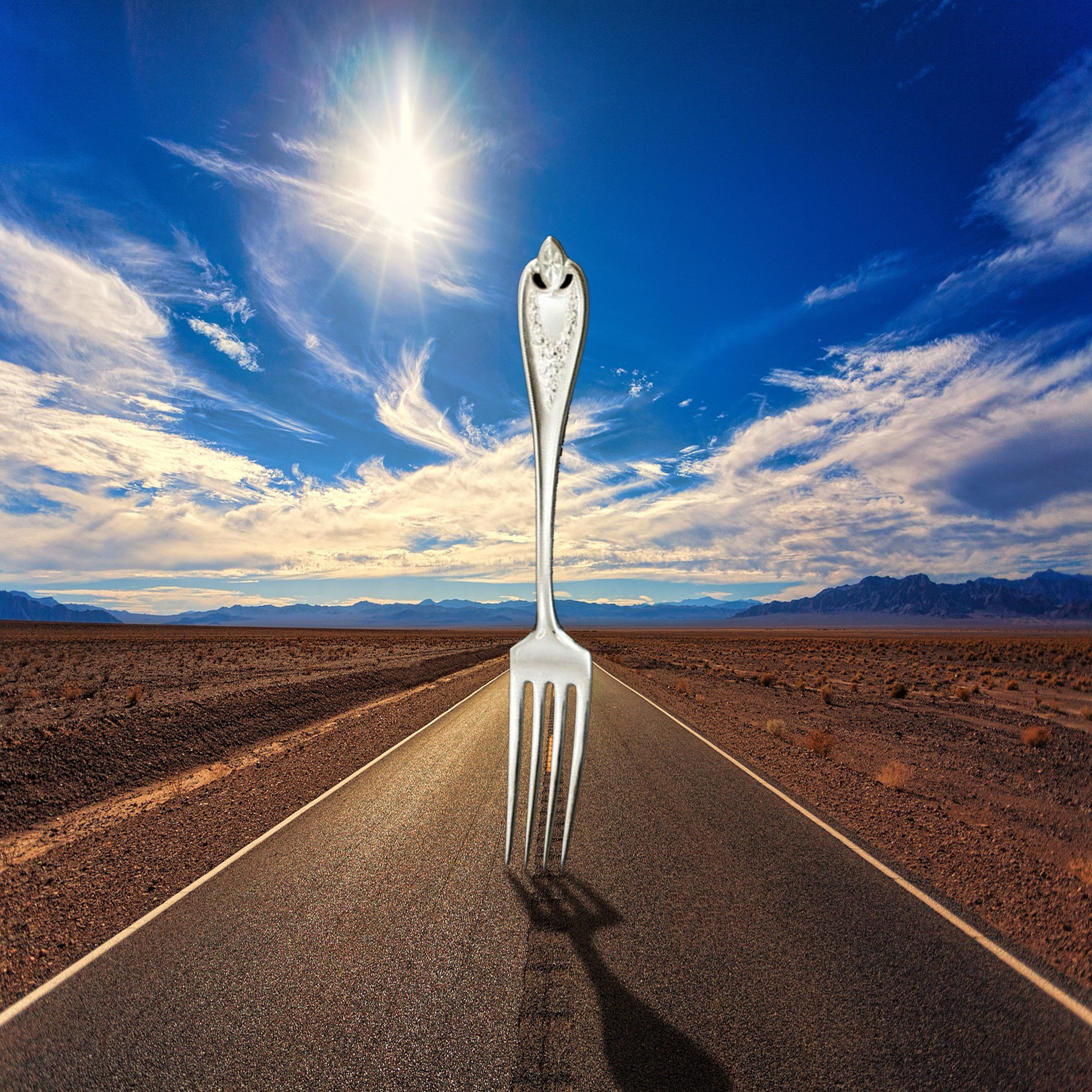 fork, horizon, landscape, day, cloud - sky, choice, arid climate, fork in the road, decide, sunlight, 2K, symbol, no people, road, nature, the way forward, Phone HD Wallpaper