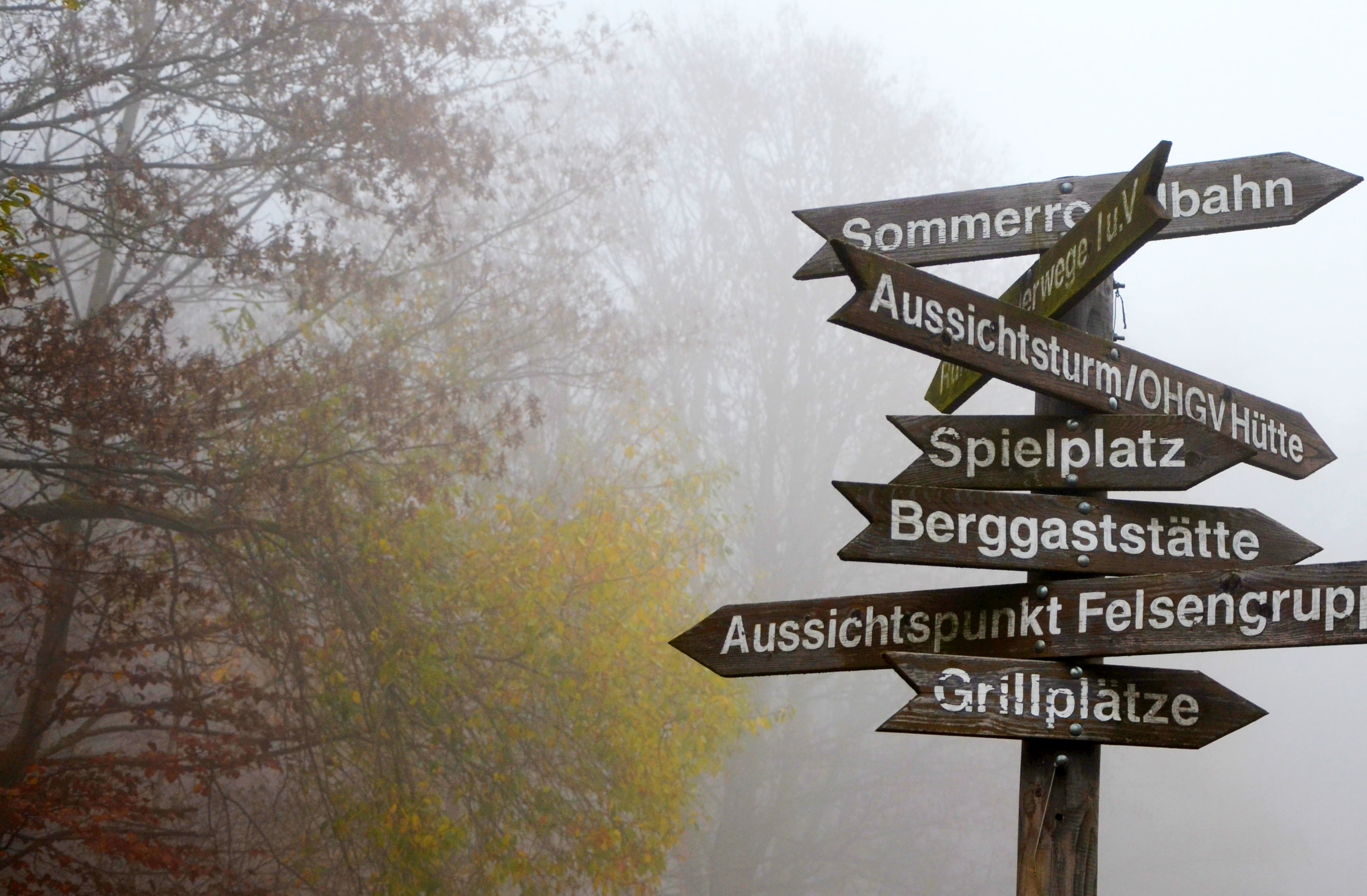 away, wooden, information sign, day, signs, land, plant, sign, decide, information, symbol, foggy, signage, directional sign, tranquility, 2K, text, nature, HD Wallpaper