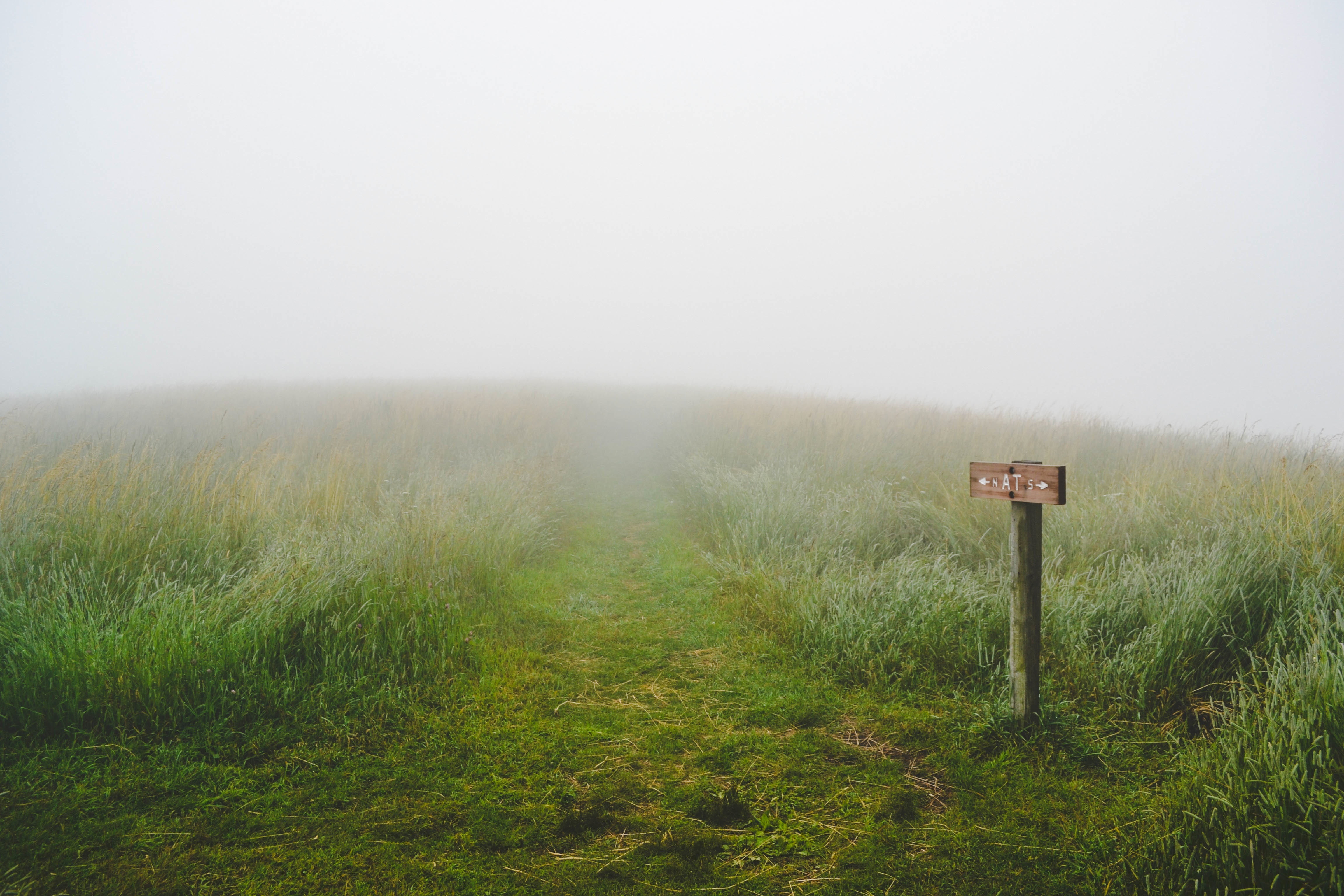wooden, outdoors, meadow, grass, field, scenery, choice, natural, scenic, tranquility, choose, reserve, sign, landscape, tranquil scene, brown, path, non-urban scene, HD Wallpaper