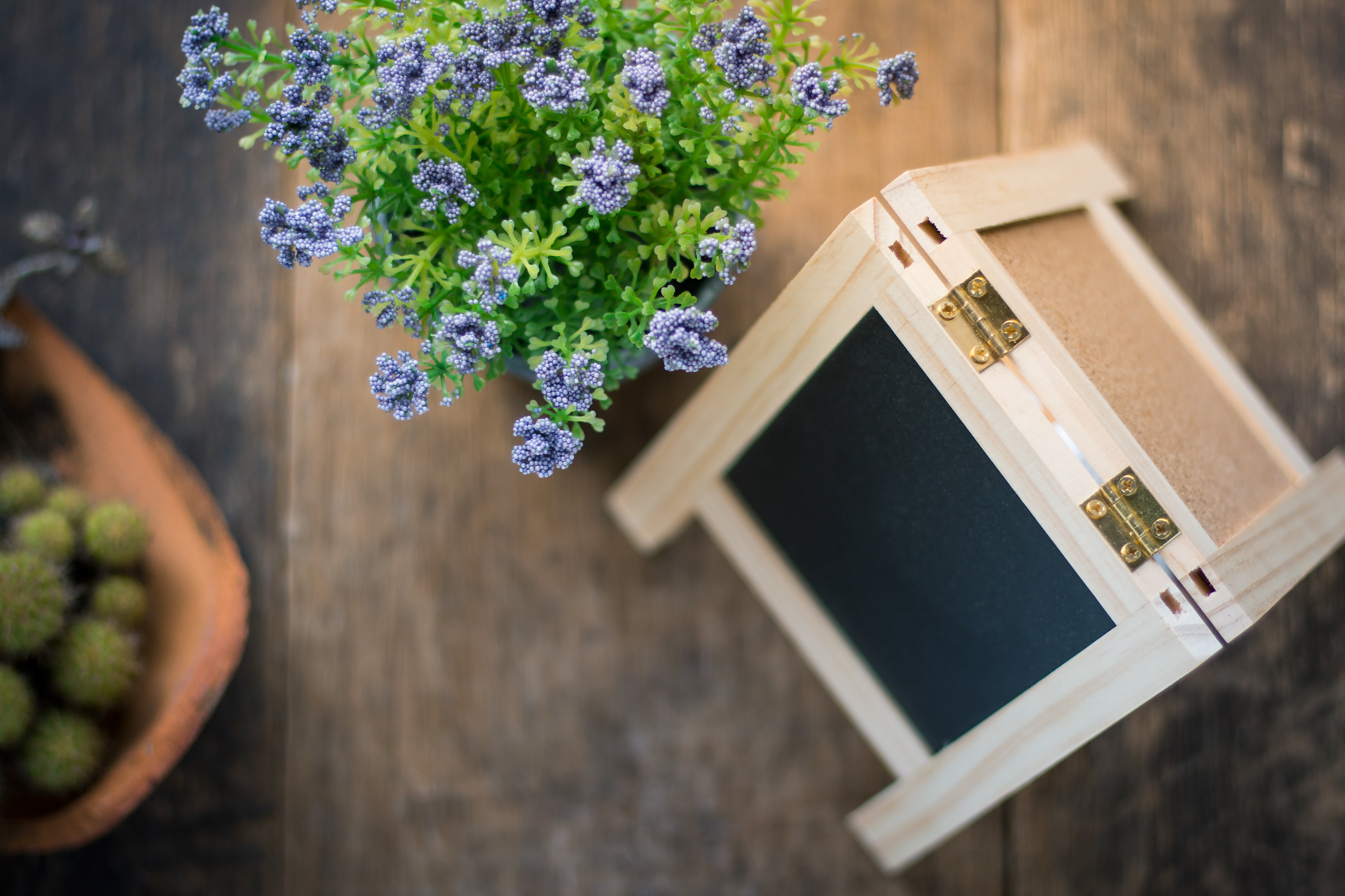 fresh, violet, color, petal, wood - material, freshness, gardening, directly above, wooden, purple, summer, outdoors, close-up, botanical, botany, flower arrangement, HD Wallpaper