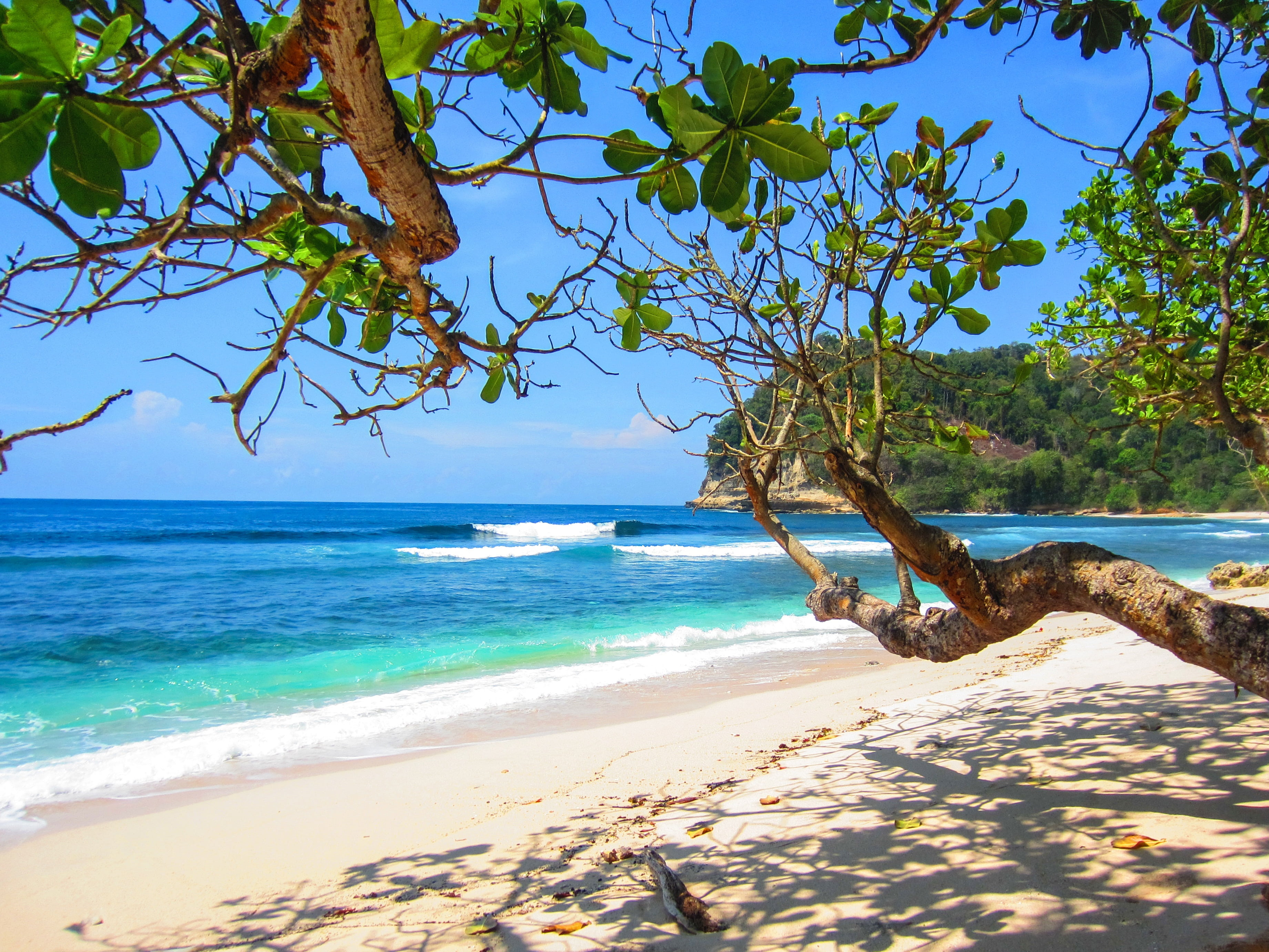 summer beach, tropical, relaxation, resort, horizon over water, wave, outdoors, season, no people, exotic, nature, ocean, coast, relax, hot, sky, plant, HD Wallpaper