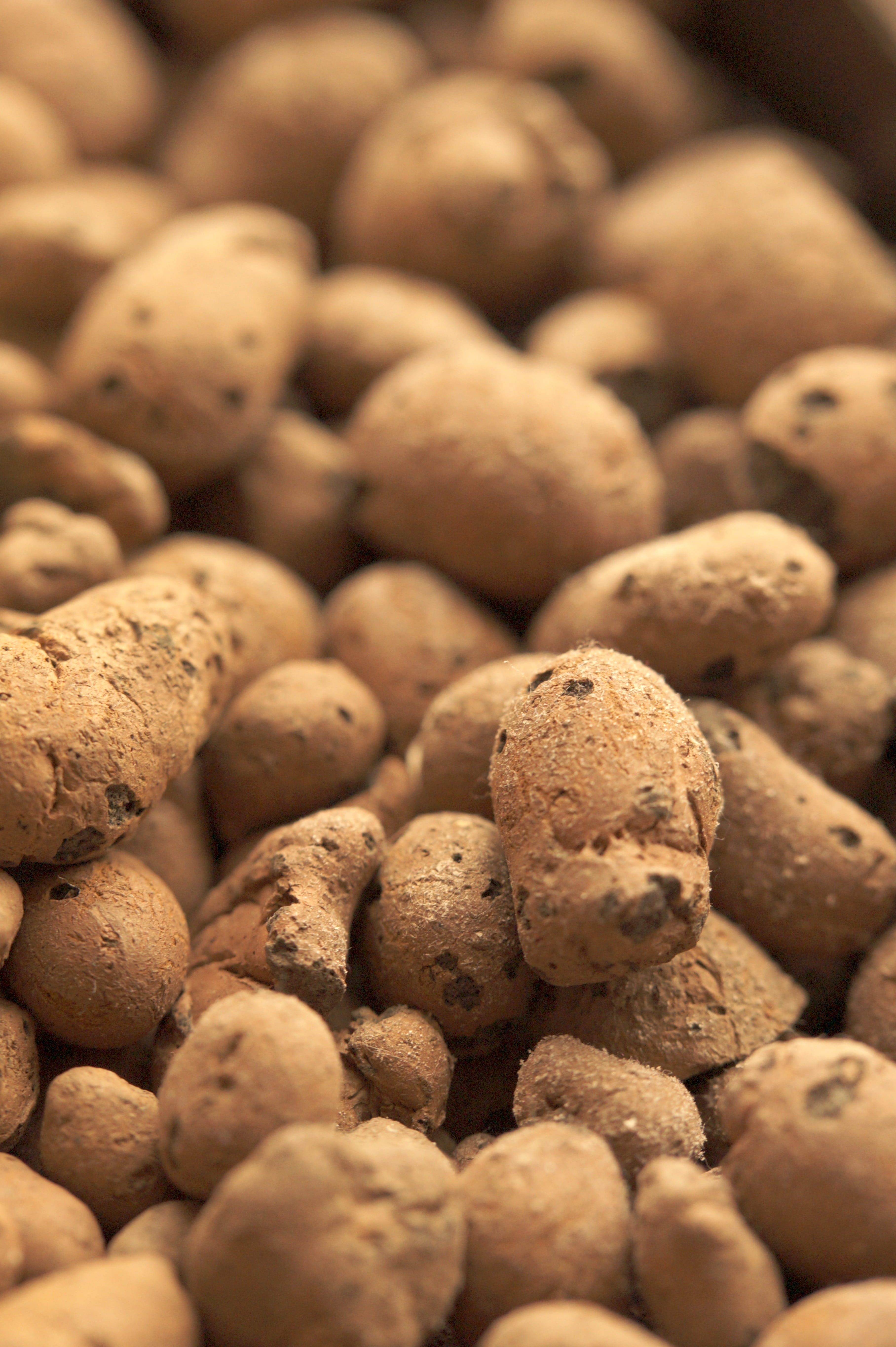 Pebble, Granules, steinchen, hydroponics, Stones, wellbeing, still life, 5K, food and drink, food, water storage, selective focus, potato, raw food, brown, Phone HD Wallpaper