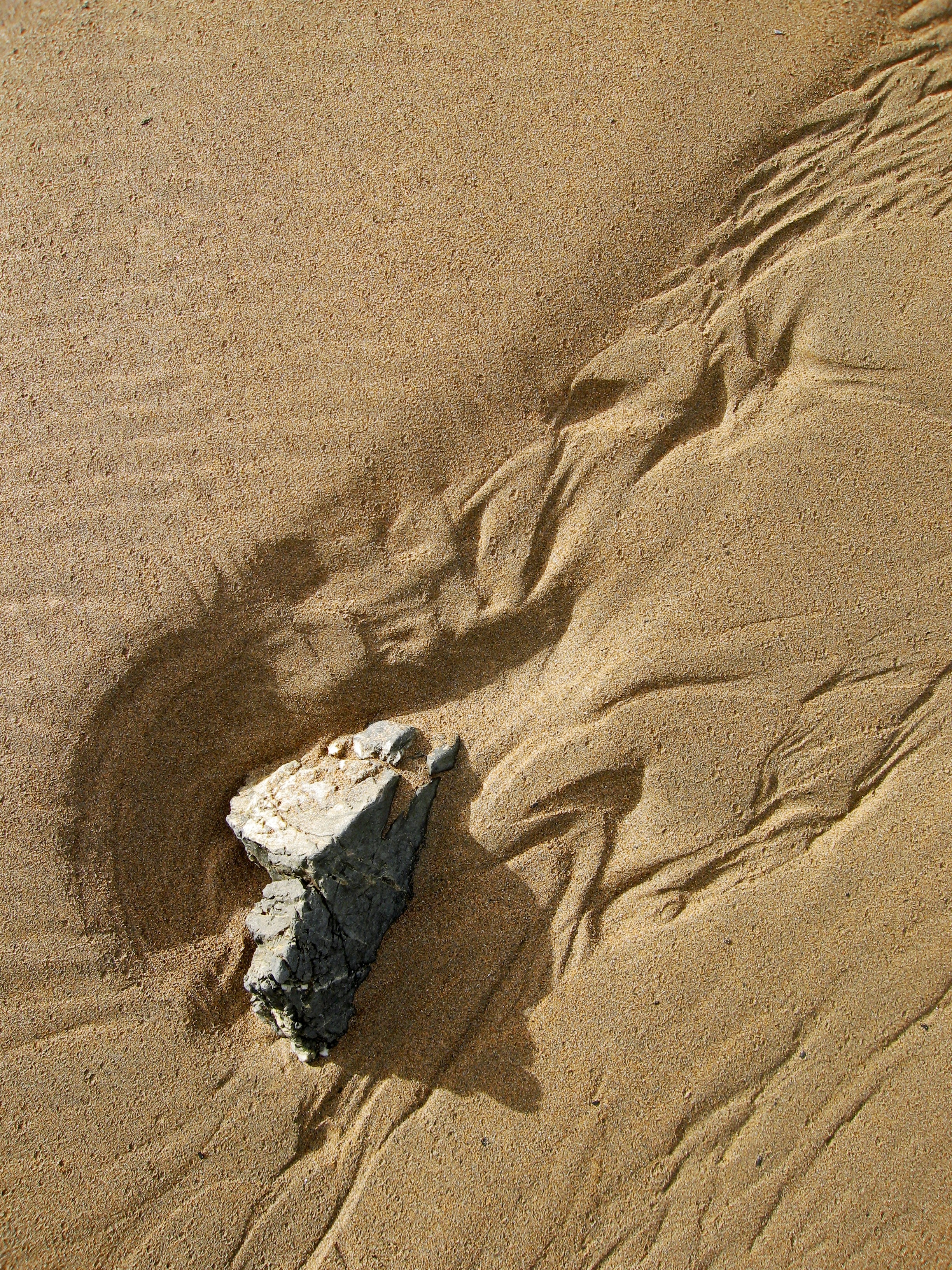 tranquility, brown, desert, day, climate, backgrounds, no people, full frame, nature, sand dune, flowing, shoreline, falling, flow, sand, ripple, shadow, Phone HD Wallpaper