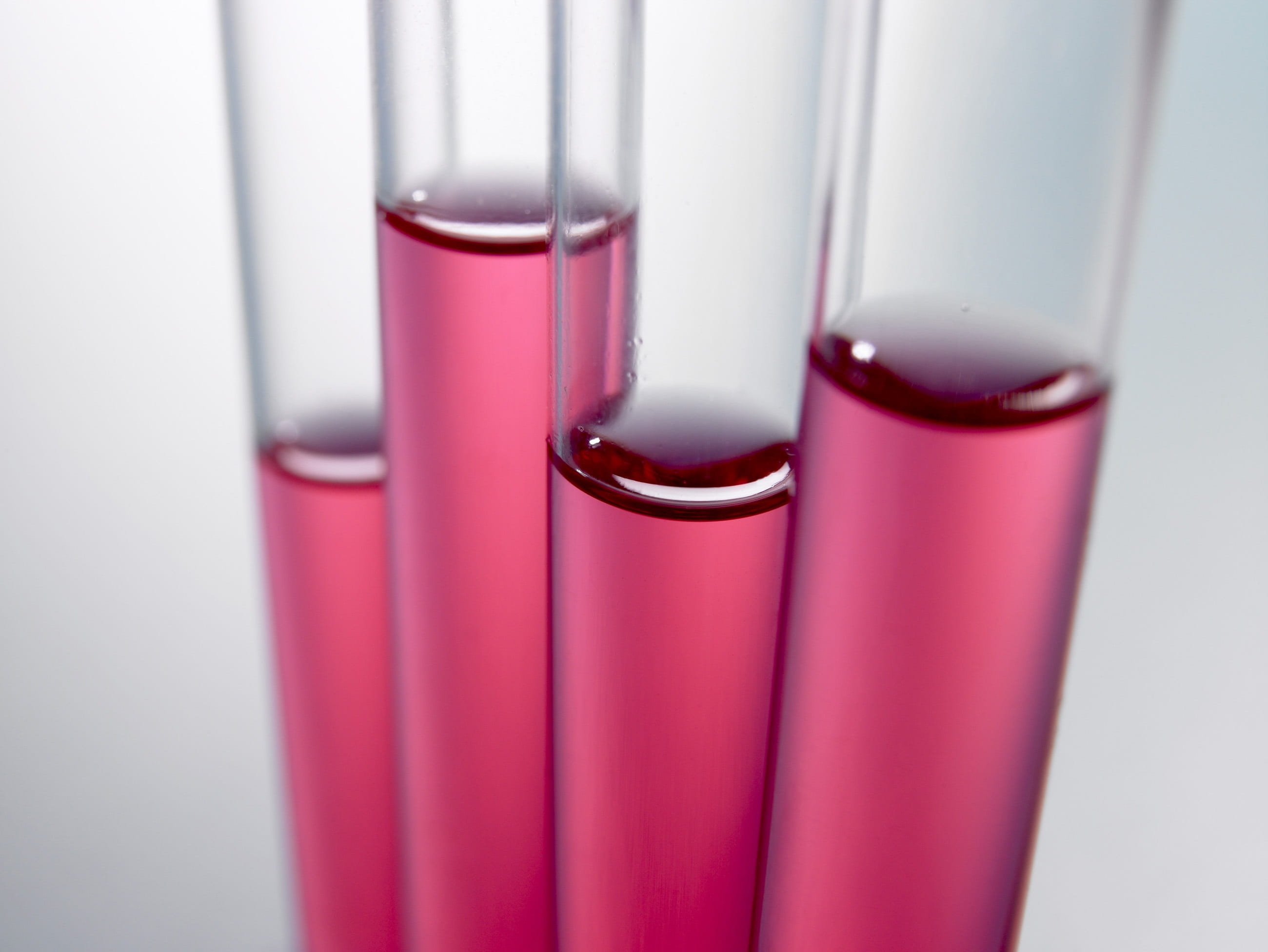 test tubes, red, four, education, pink color, blood, liquid, chemistry, glass, test tube, scientific experiment, purple, lab, clear, glass - material, vials, HD Wallpaper