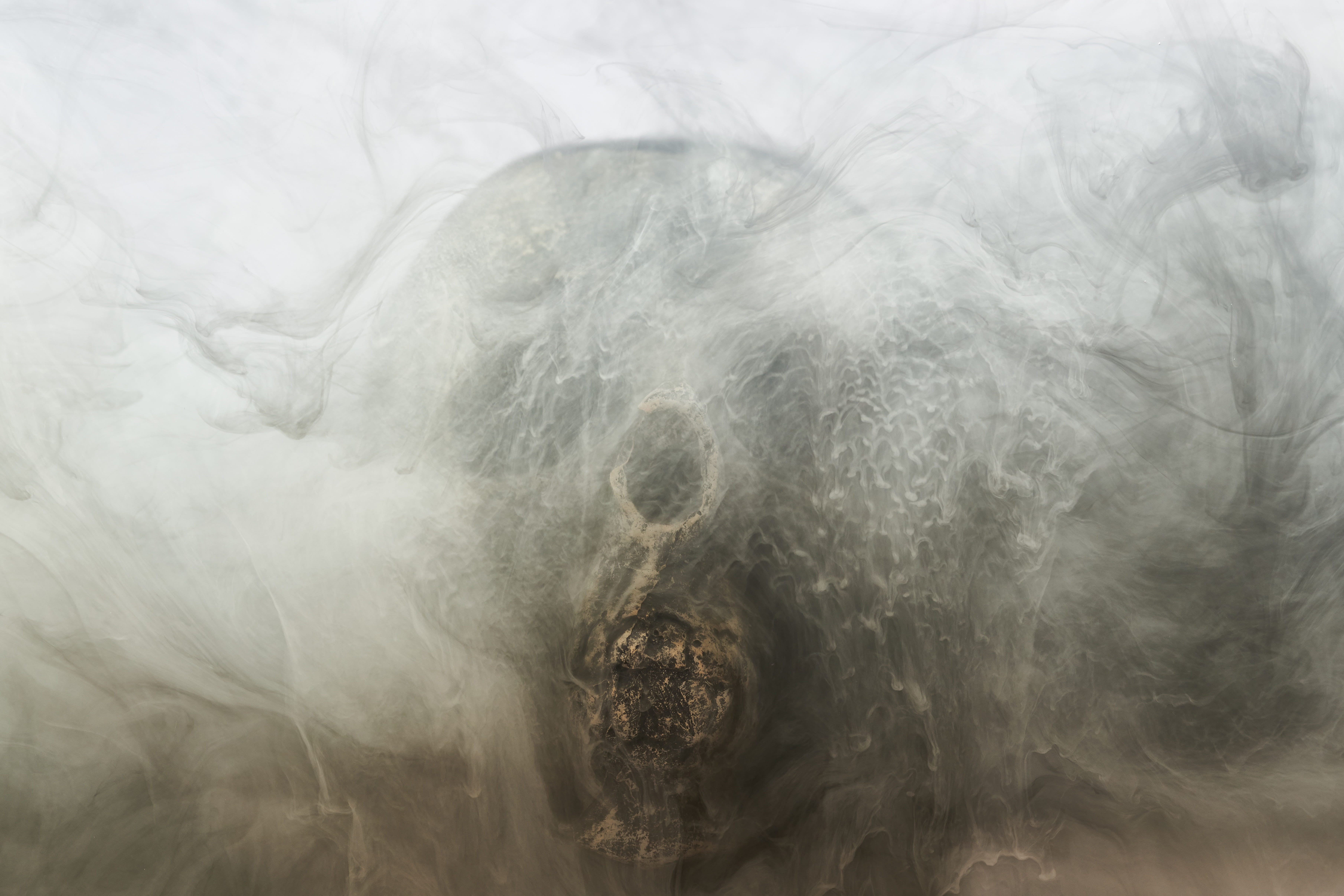 positive, anatomy, backgrounds, full frame, dead, bones, paint, death, skeleton, imagine, decomposition, flowing, die, grey, horror, tranquility, creativity, HD Wallpaper