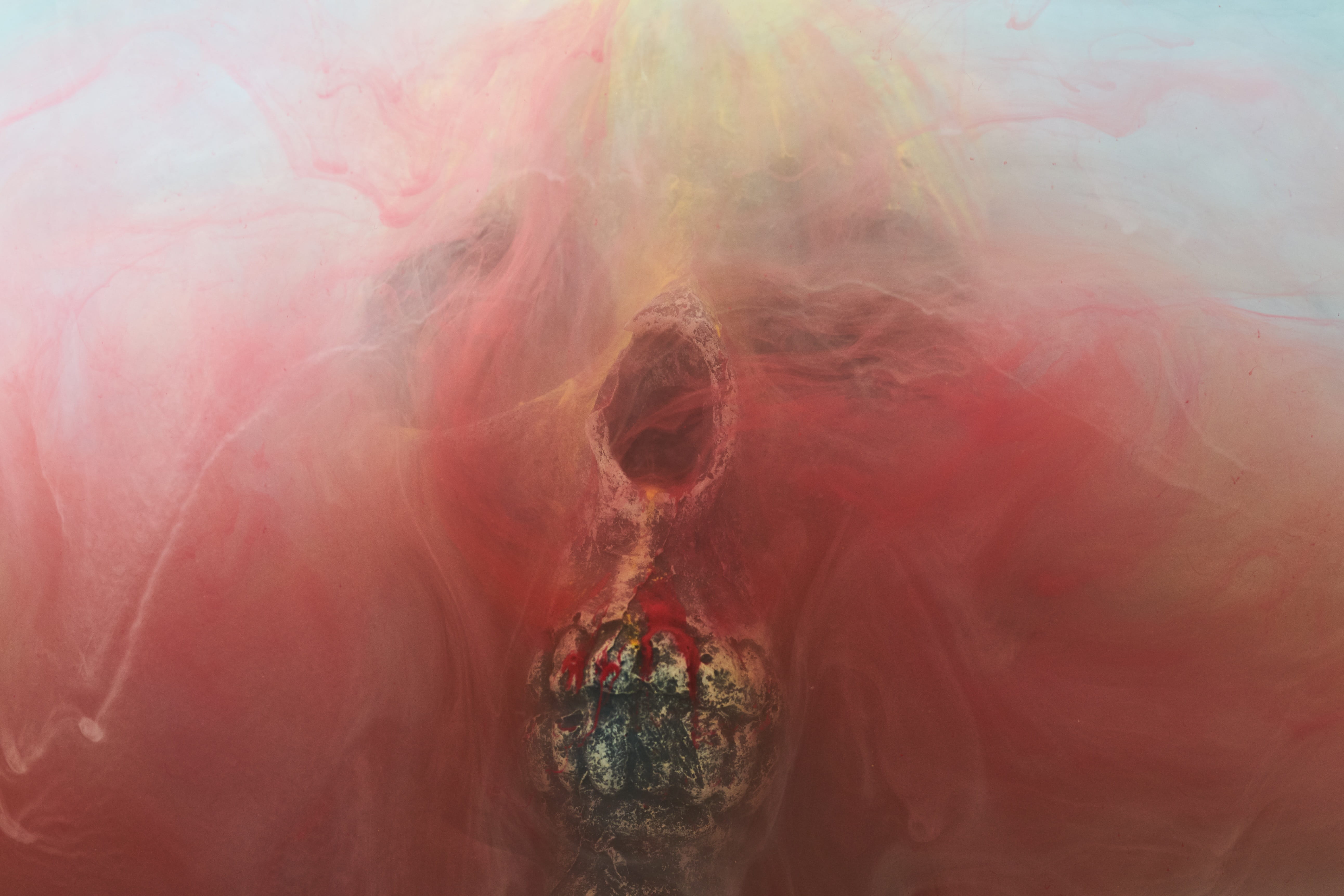 die, ink, imagine, pattern, pink color, bone, water, anatomy, horror, nightmare, dead, abstract, fossils, flowing, art and craft, creativity, dry head, HD Wallpaper