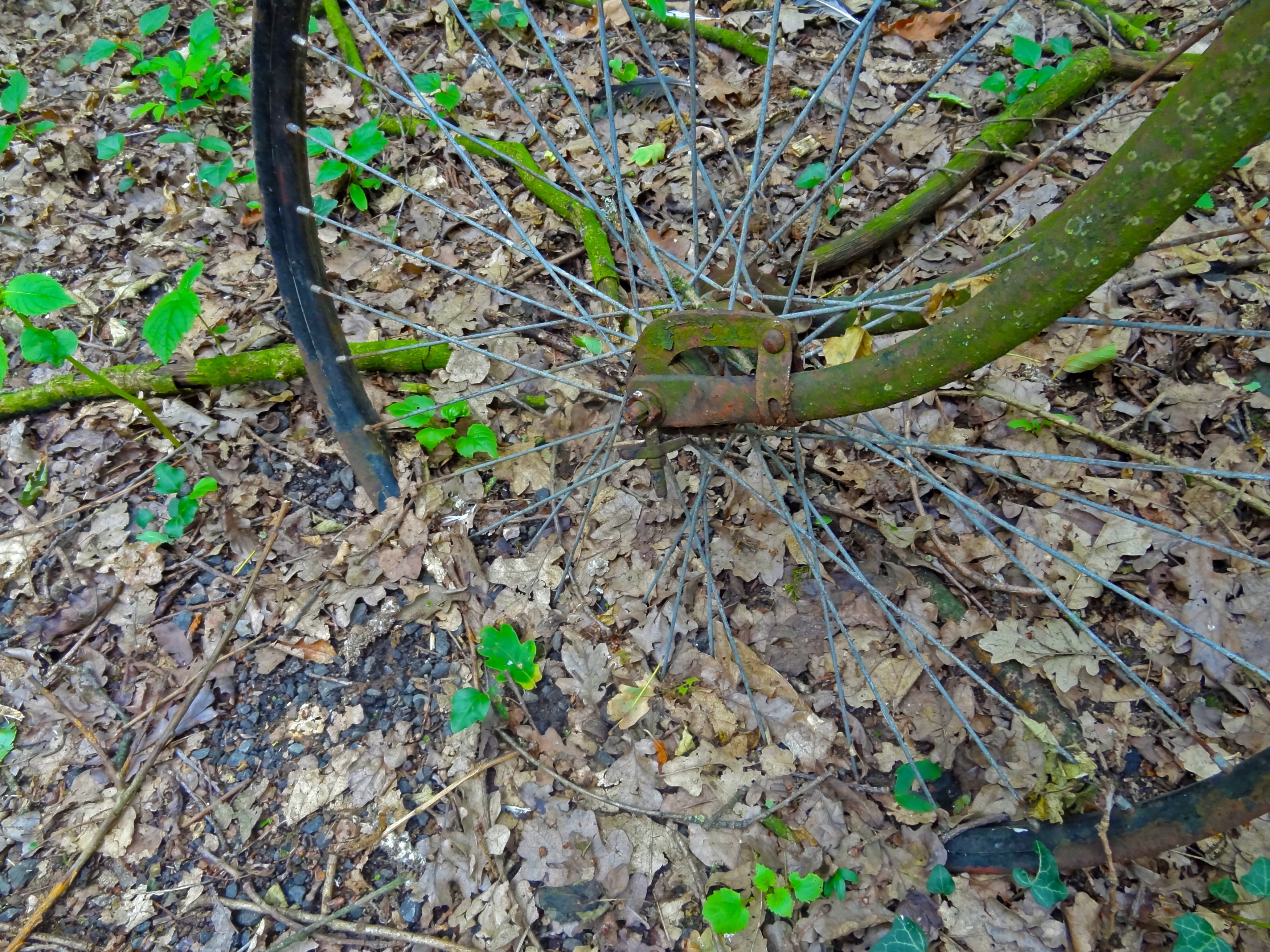tranquility, bike, tree, day, high angle view, destroyed, stainless, leaf, plant part, broken, land, no people, spokes, dry, 2K, wood - material, field, HD Wallpaper