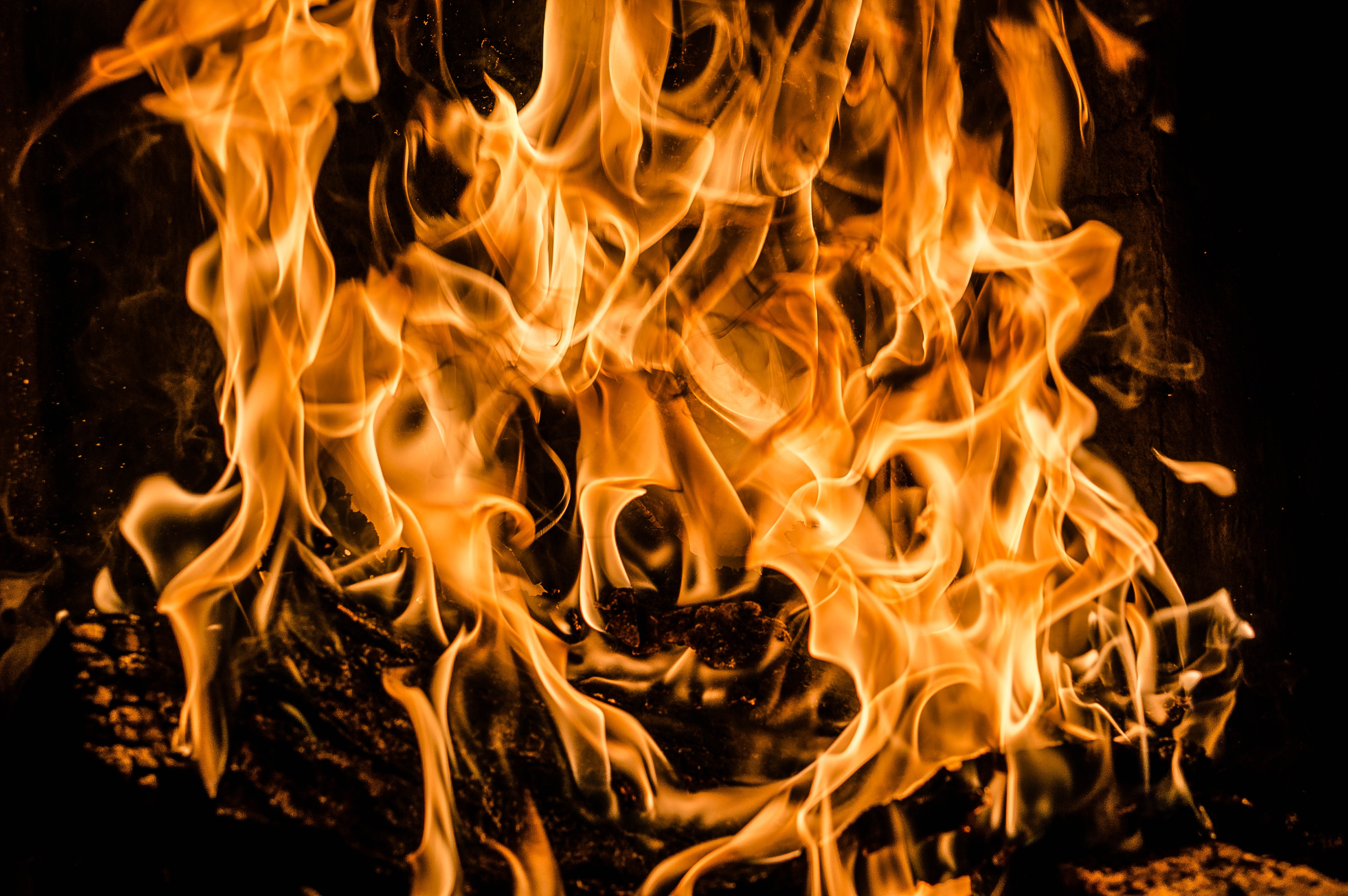 flame, combustion, 4K, fire, firewood, bonfire, HD Wallpaper