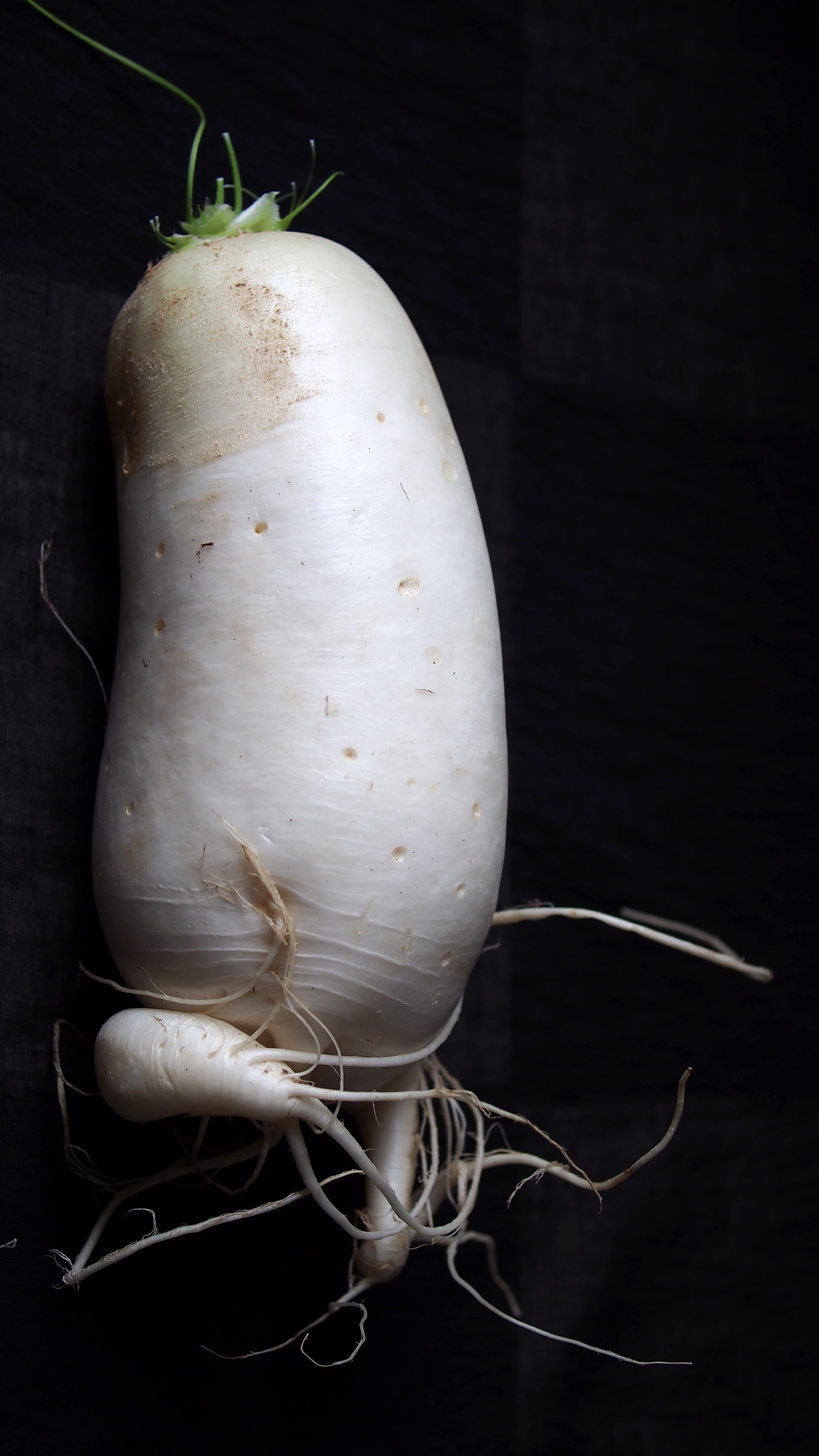 table, taste, white color, radix, vegetable, root vegetable, Radish, plant, black and white, wellbeing, White, Raphanus, body, garlic clove, food, nutrition, Phone HD Wallpaper