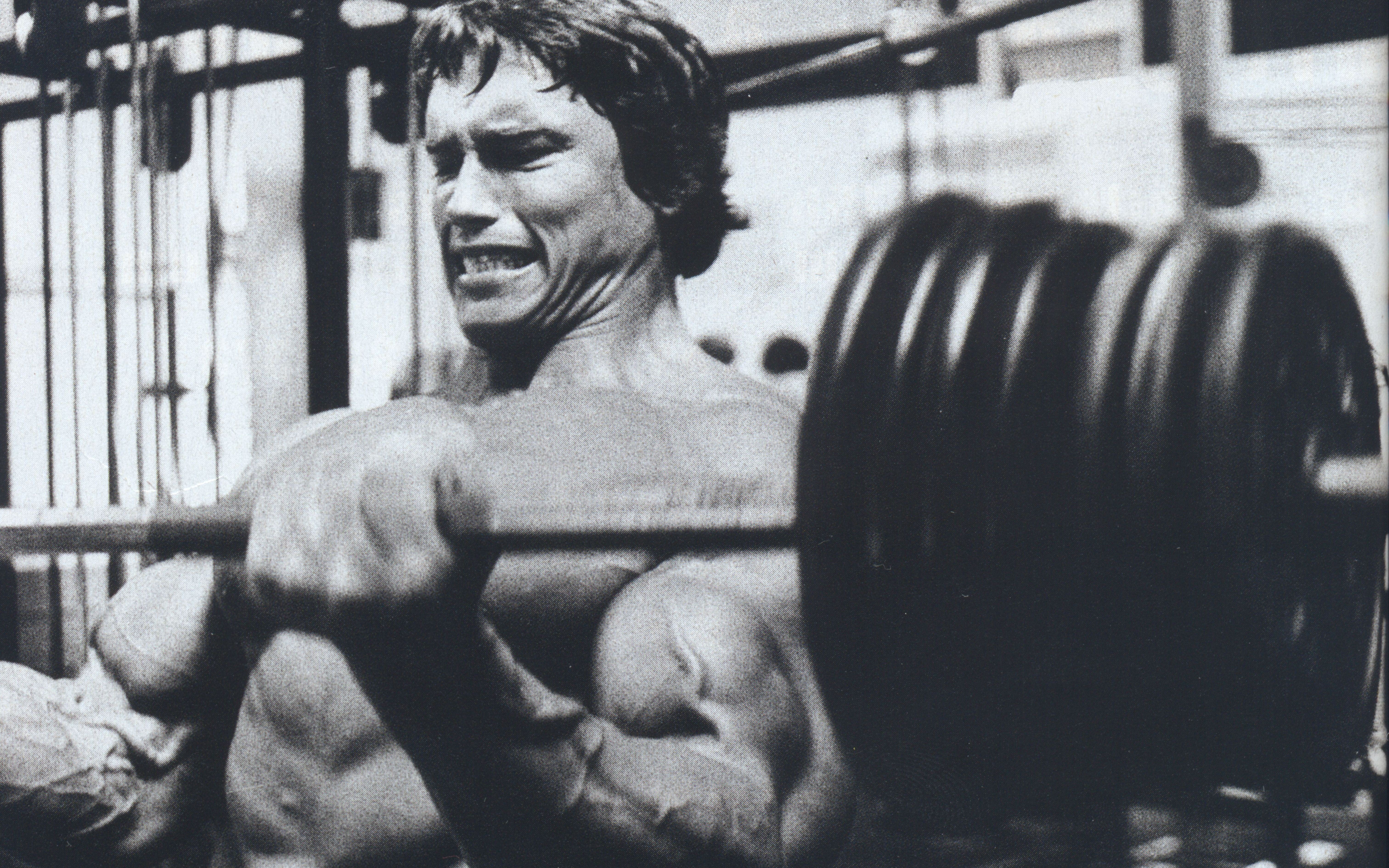 kachek, the Human Body, professional Sport, body Building Exercises, masculinity, heavy, activity, males, adult, sports Clothing, dumbbell, Producer, muscular Build, HD Wallpaper