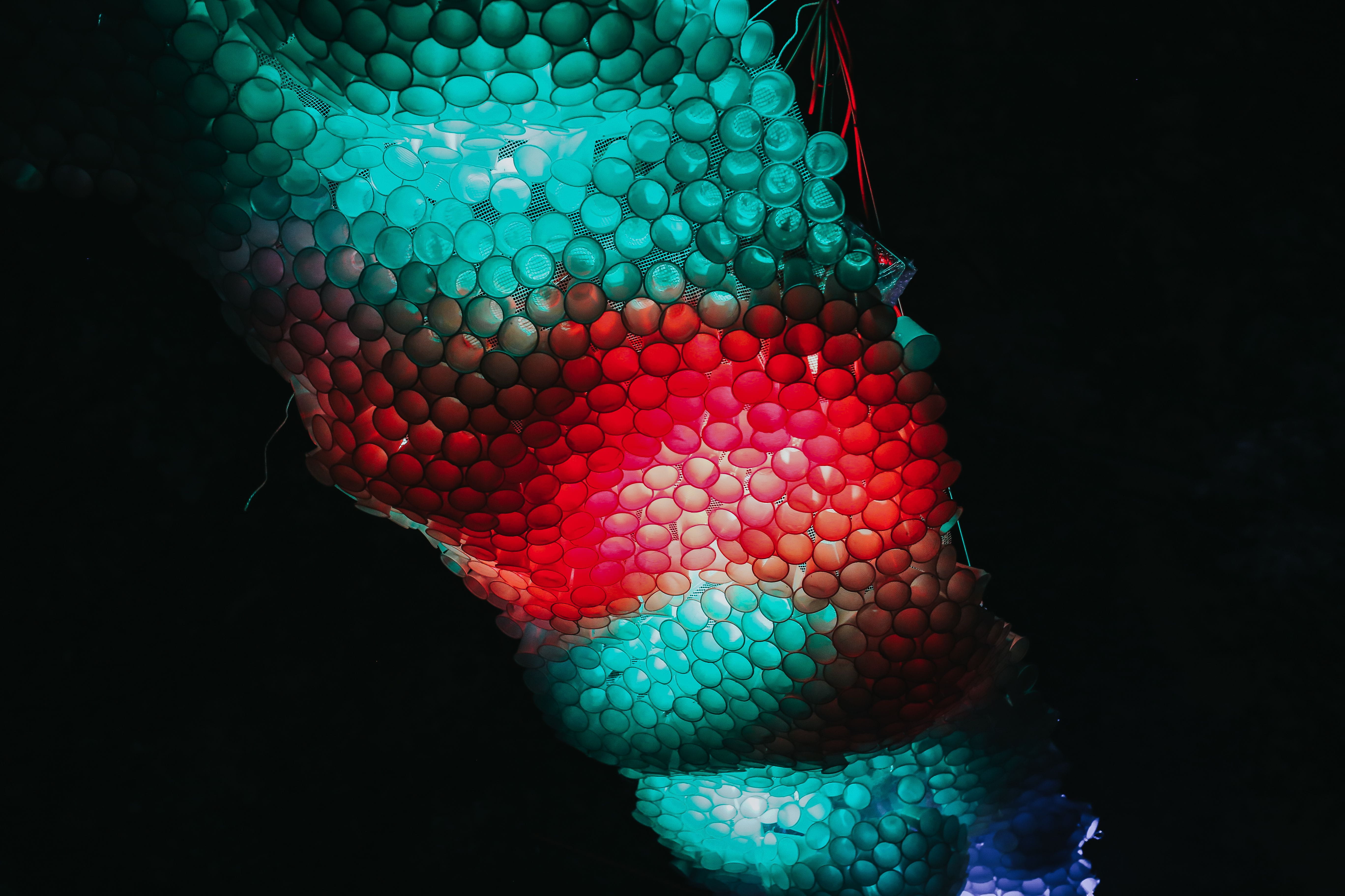 animal wildlife, abstract, poisonous, shade, chandelier, multi Colored, display, animal themes, pattern, lamps, green color, one animal, animals in the wild, HD Wallpaper