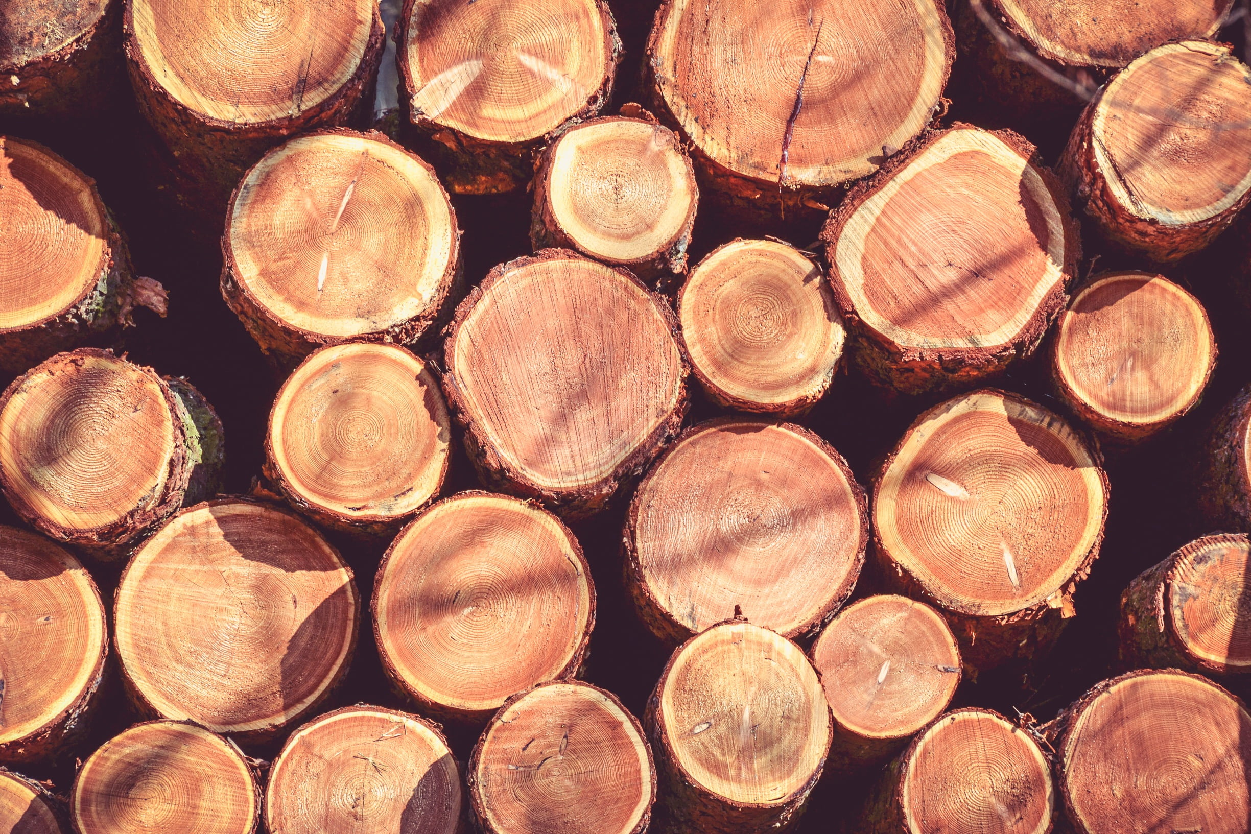 environmental issues, old, full frame, nature, losers, fuel and power generation, timber, stack, wooden, tree, firewood, bark, log, chopped, heap, fill, HD Wallpaper