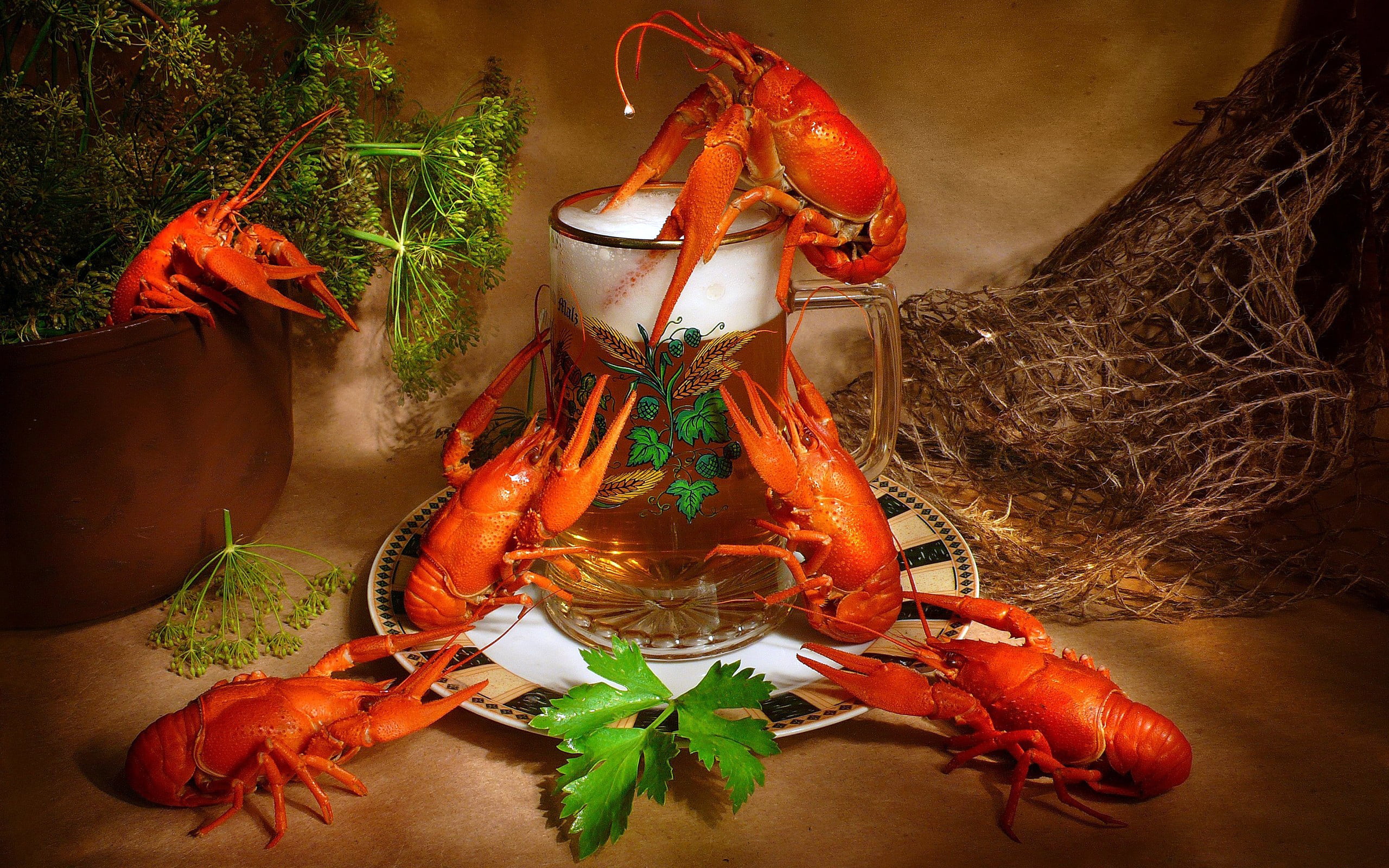 food And Drink, lobster, APPETIZER, gourmet, dinner, close-up, no People, healthy Eating, cooked, eating, cooking, six, FOAM, table, seafood, lobsters, HD Wallpaper