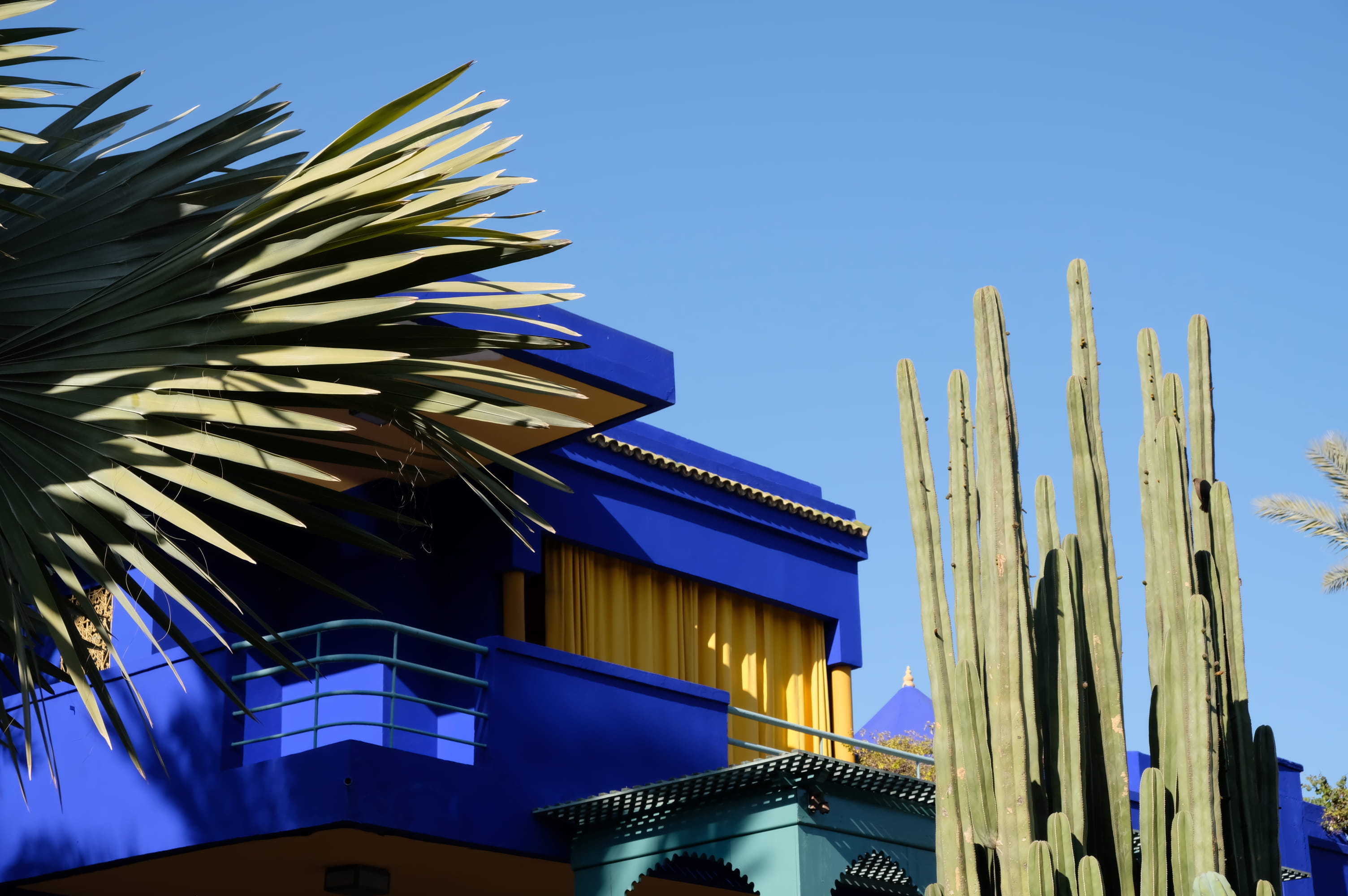 urban, housing, built structure, no people, city, morocco, day, painted, green, building exterior, neighborhood, cacti, palm tree, office, sunlight, cactus, HD Wallpaper
