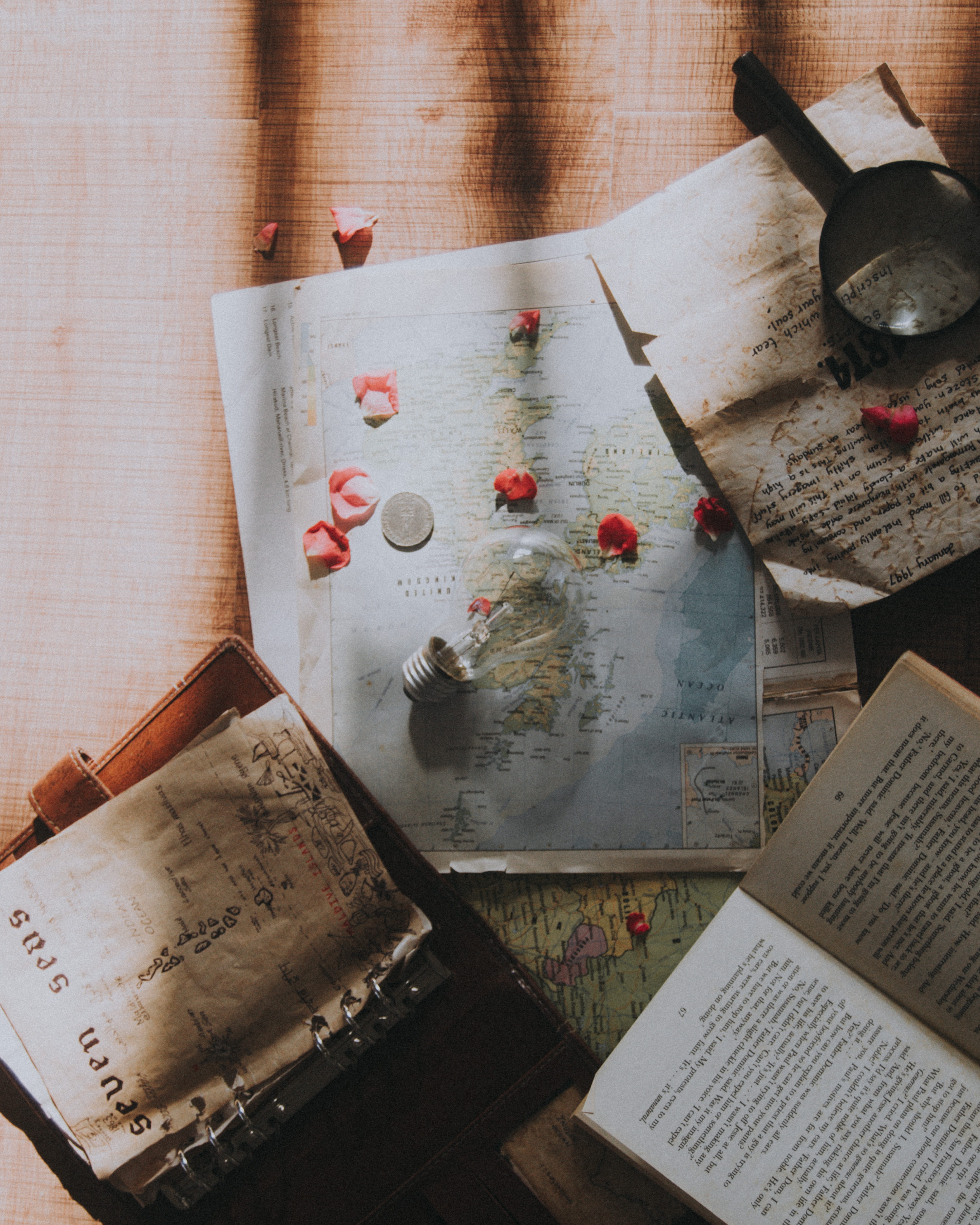 freshness, edison, no filter, flatlay, travel, group of objects, still life, no people, paper, layout, history, bulb, page, petals, text, papers, books, Phone HD Wallpaper