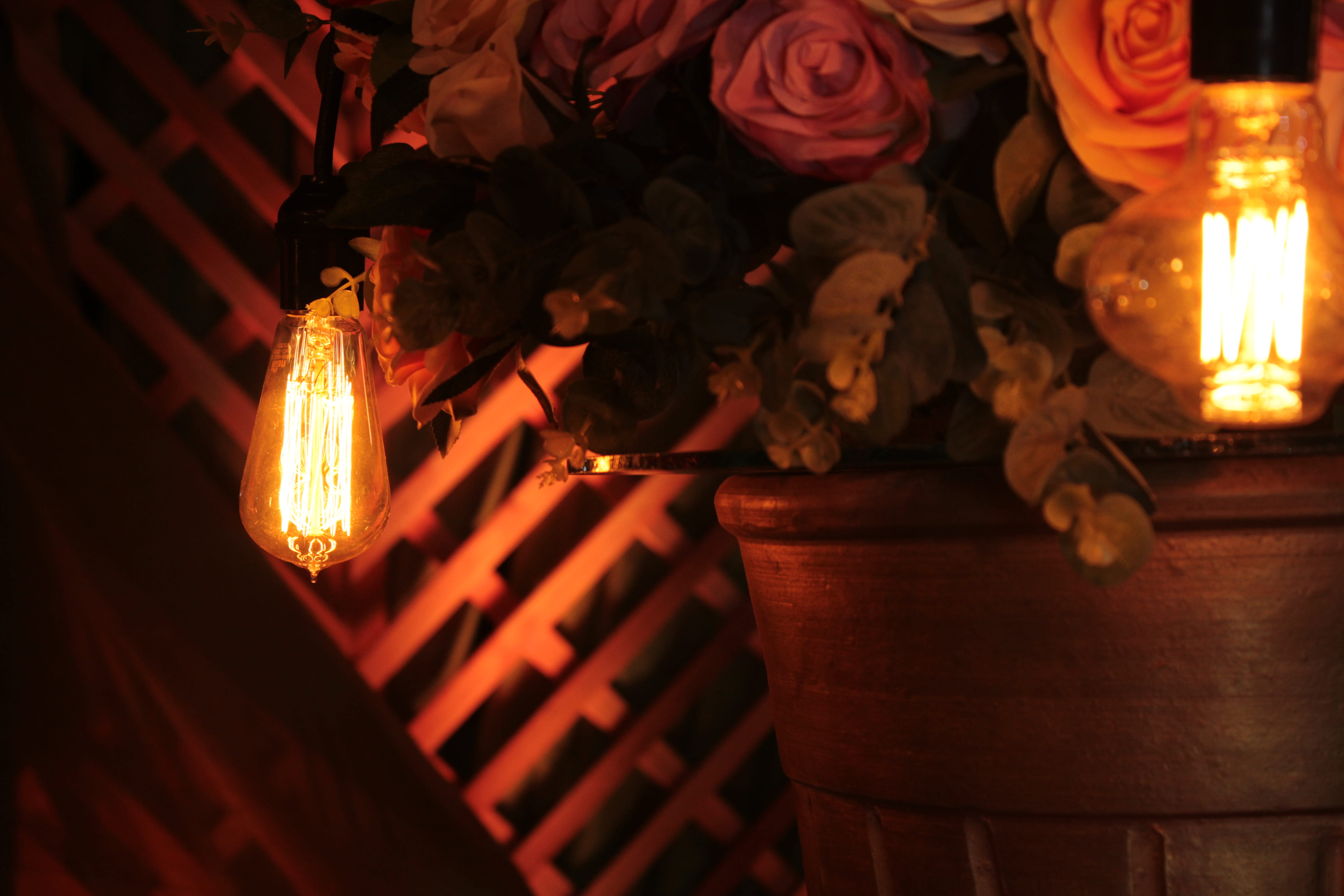 energy, imperatriz, heat - temperature, flowering plant, light bulb, dark, candle, indoors, fire - natural phenomenon, farol, 5K, no people, ceiling, lamp, HD Wallpaper
