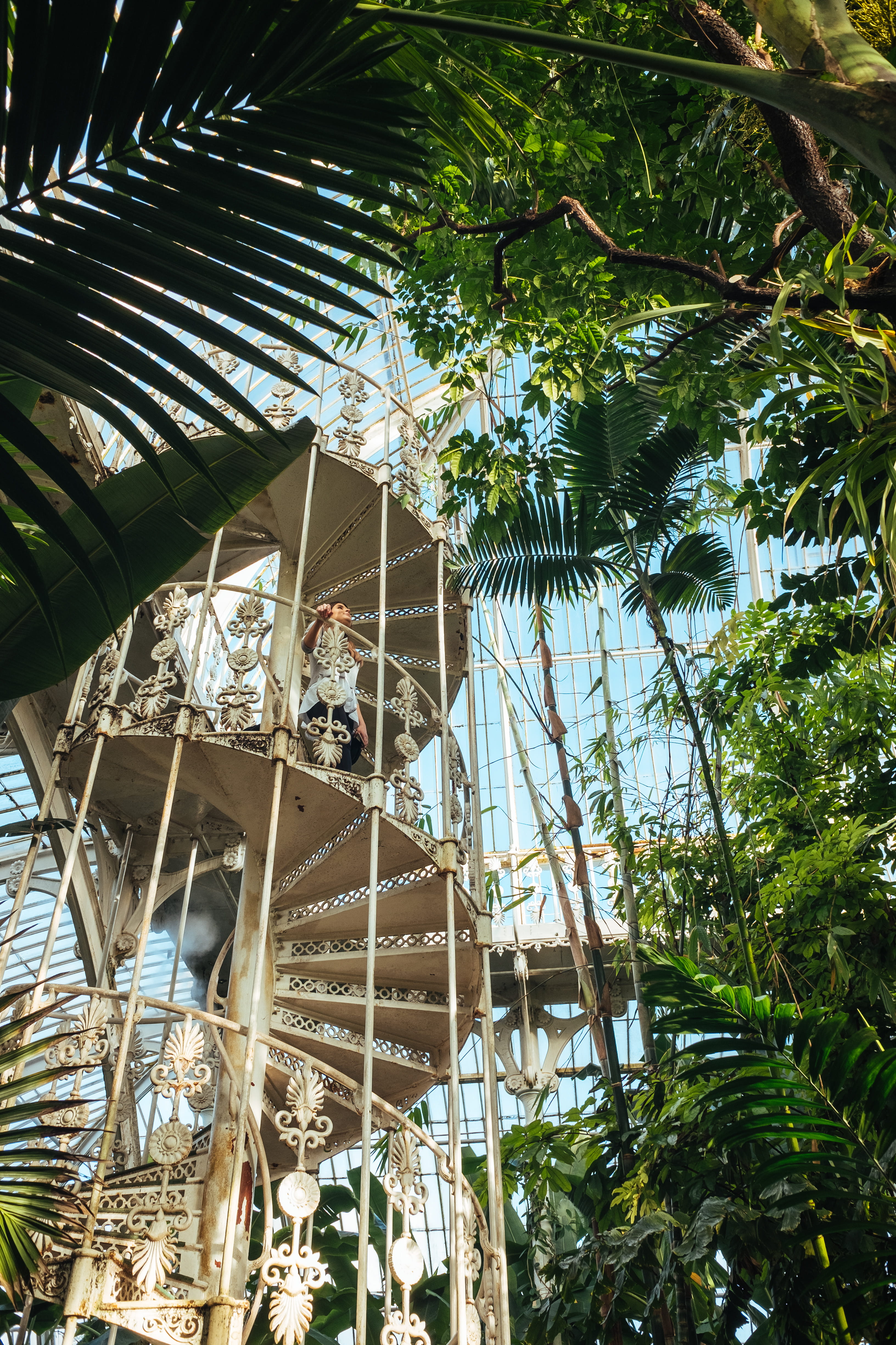 architecture, beauty in nature, ceiling, richmond, climb, united kingdom, nature, tropical climate, outdoors, coconut palm tree, plant part, plants, green, Phone HD Wallpaper