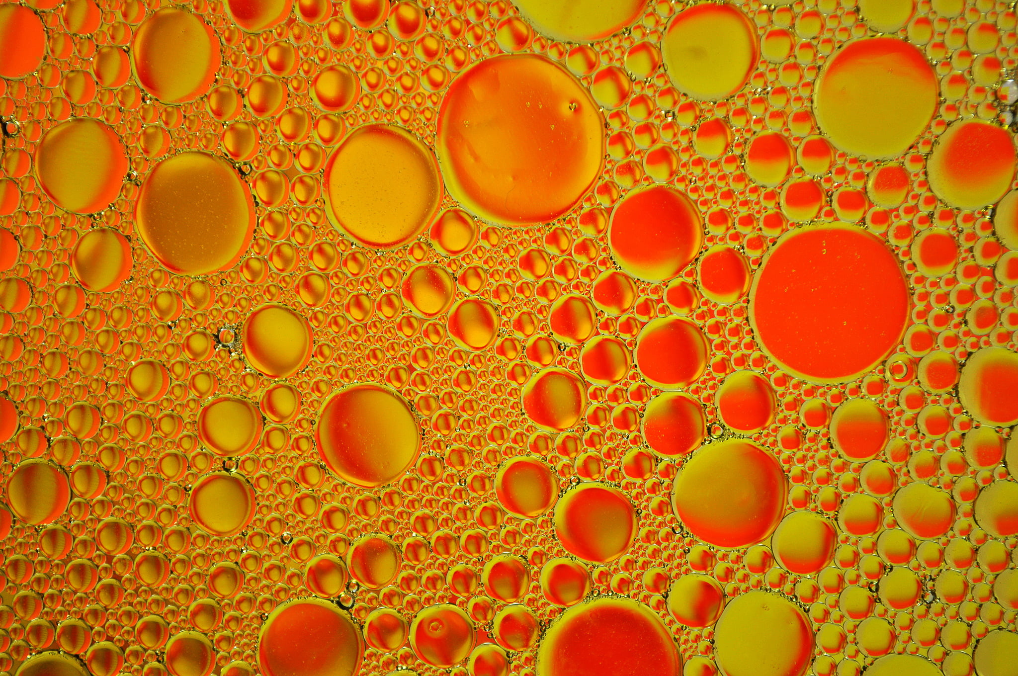 abstract backgrounds, orange color, abstract, food and drink, geometric shape, circle, oil, droplets, water, color, orange, studio shot, purity, close-up, HD Wallpaper