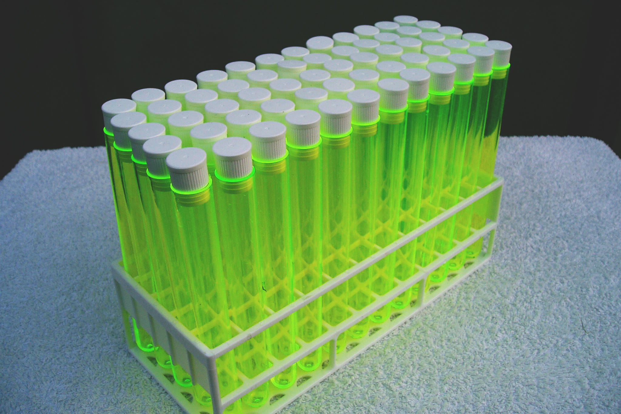 no people, research, 1080P, biochemistry, close-up, scientific experiment, large group of objects, Chemistry, test tube rack, biotechnology, indoors, various, HD Wallpaper