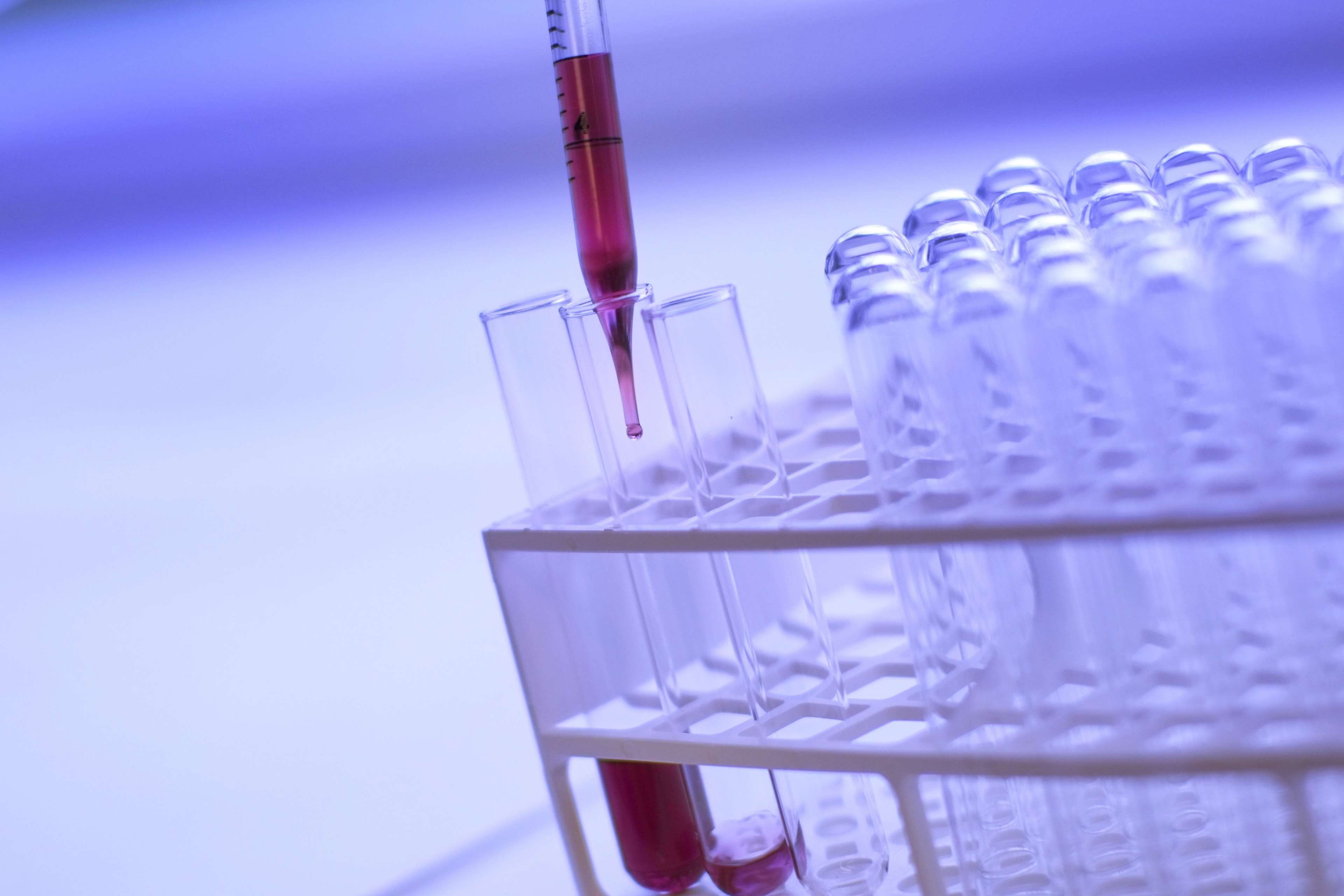 analysis, close-up, biology, indoors, healthcare and medicine, treat, focus on foreground, science, biochemistry, education, treatment, 4K, medical research, HD Wallpaper