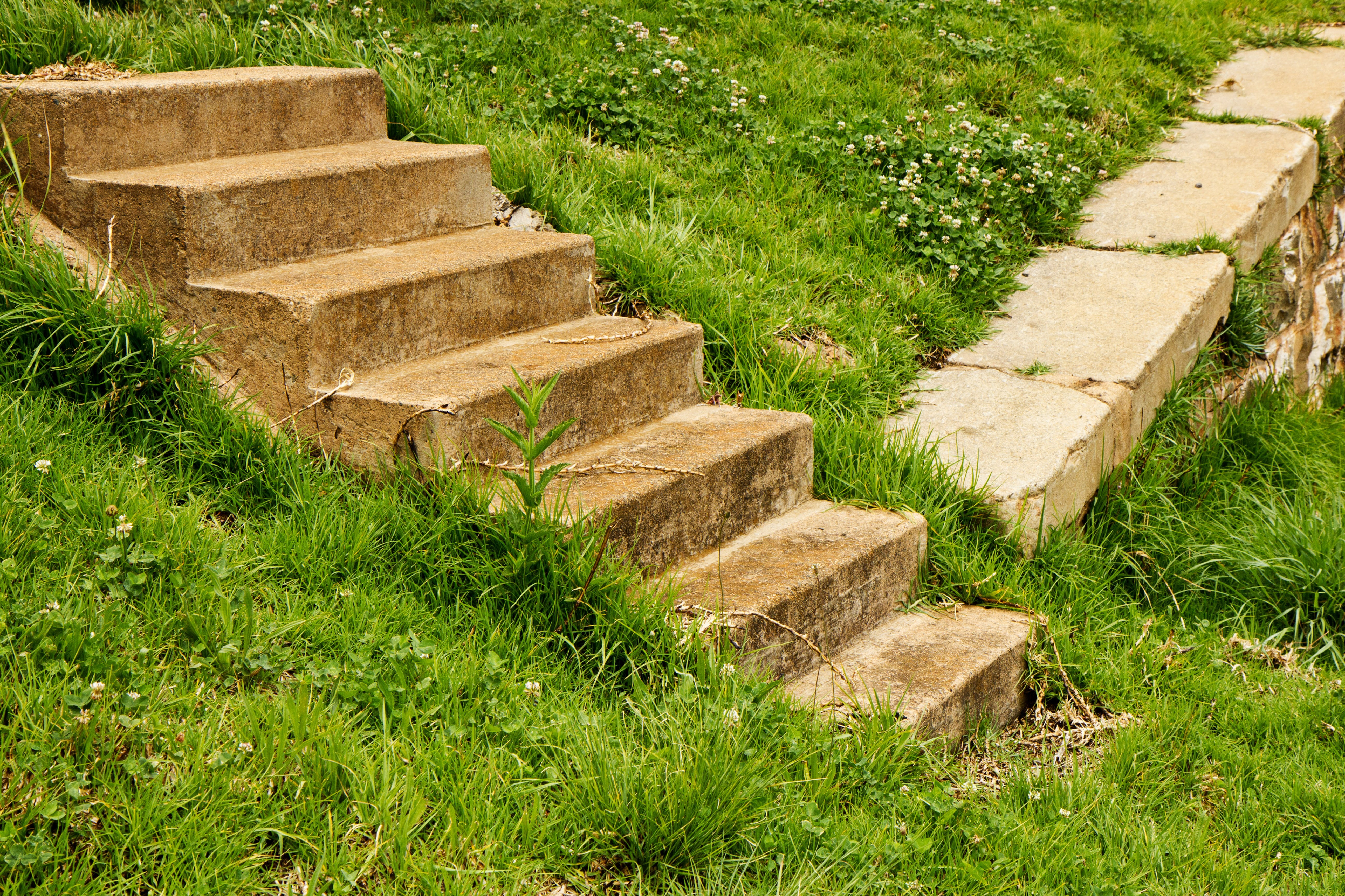 choice, pathway, steps and staircases, no people, grass, choosing, path, day, green, 5K, indecisive, field, high angle view, dilemma, footpath, history, HD Wallpaper