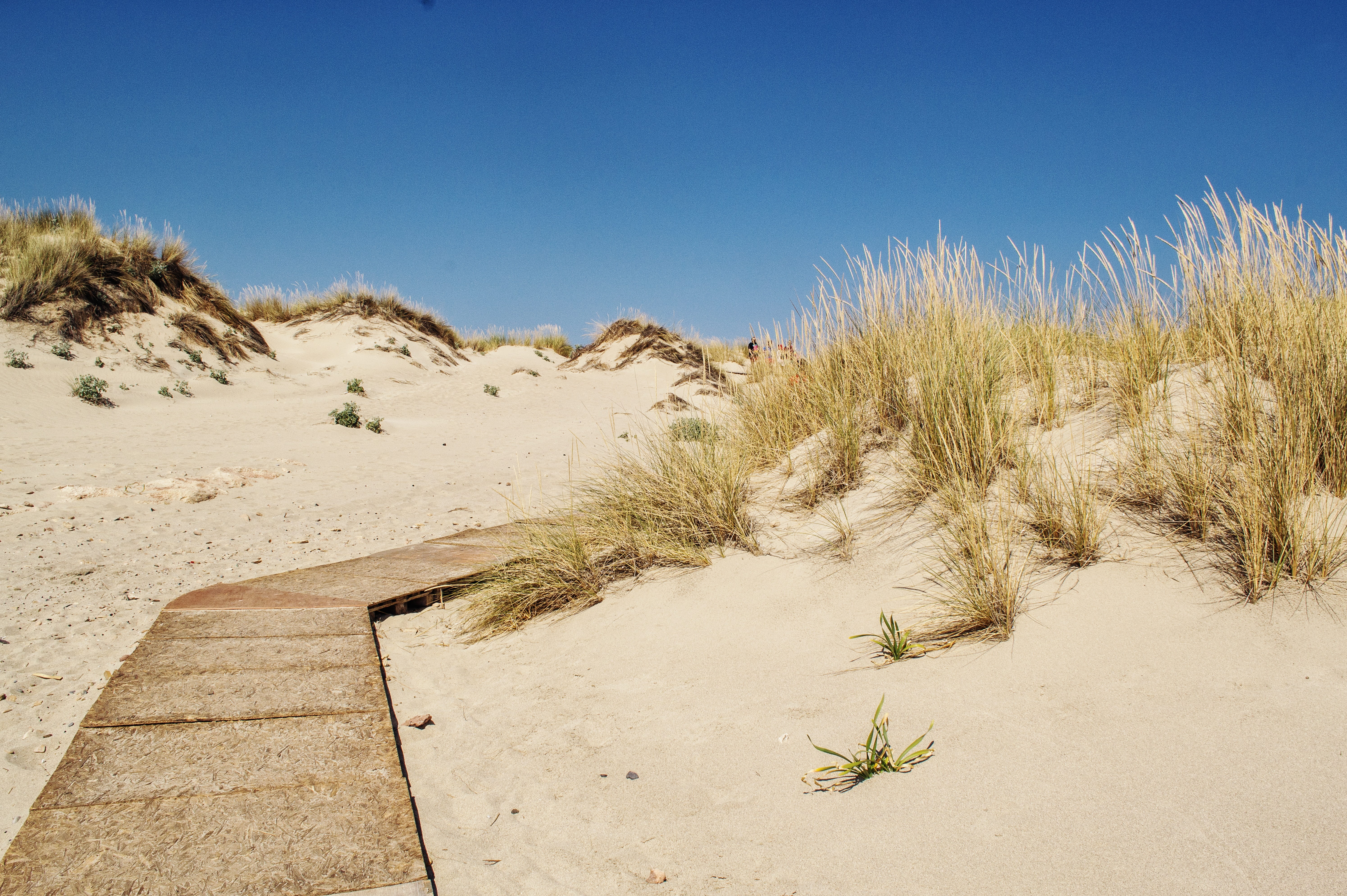 land, road, pathway, unknown, future, blue, climate, desert, walkway, sand, outdoors, daytime, 5K, path, success concept, strategy, nature, day, environment, HD Wallpaper