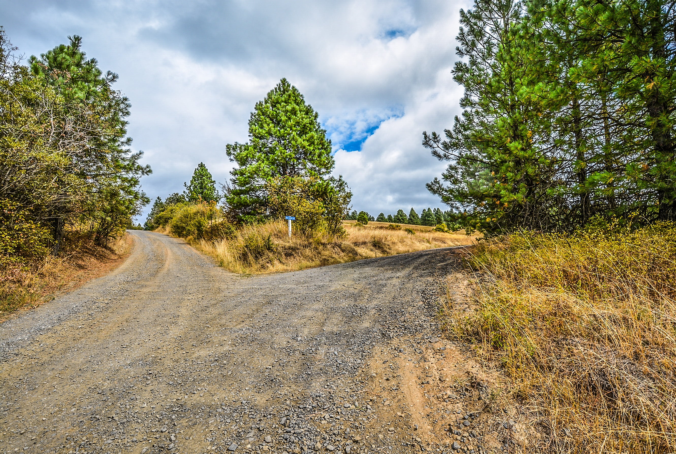 cross, two, non-urban scene, tranquility, scenics - nature, road, rural scene, fork in the road, no people, landscape, 2K, white, trees, outdoors, forked, HD Wallpaper