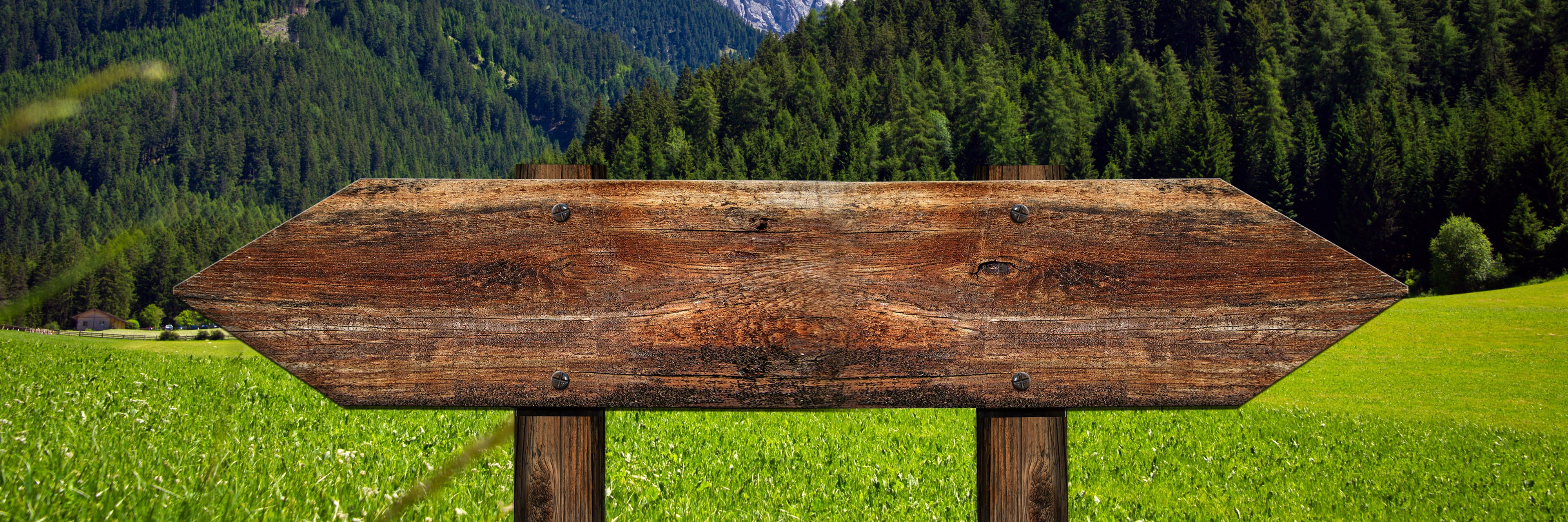 forest, direction, bark, woods, brown, no people, signposts, grain, wood, scenics - nature, grass, directory, mountain, next, day, nature, taken, right, HD Wallpaper