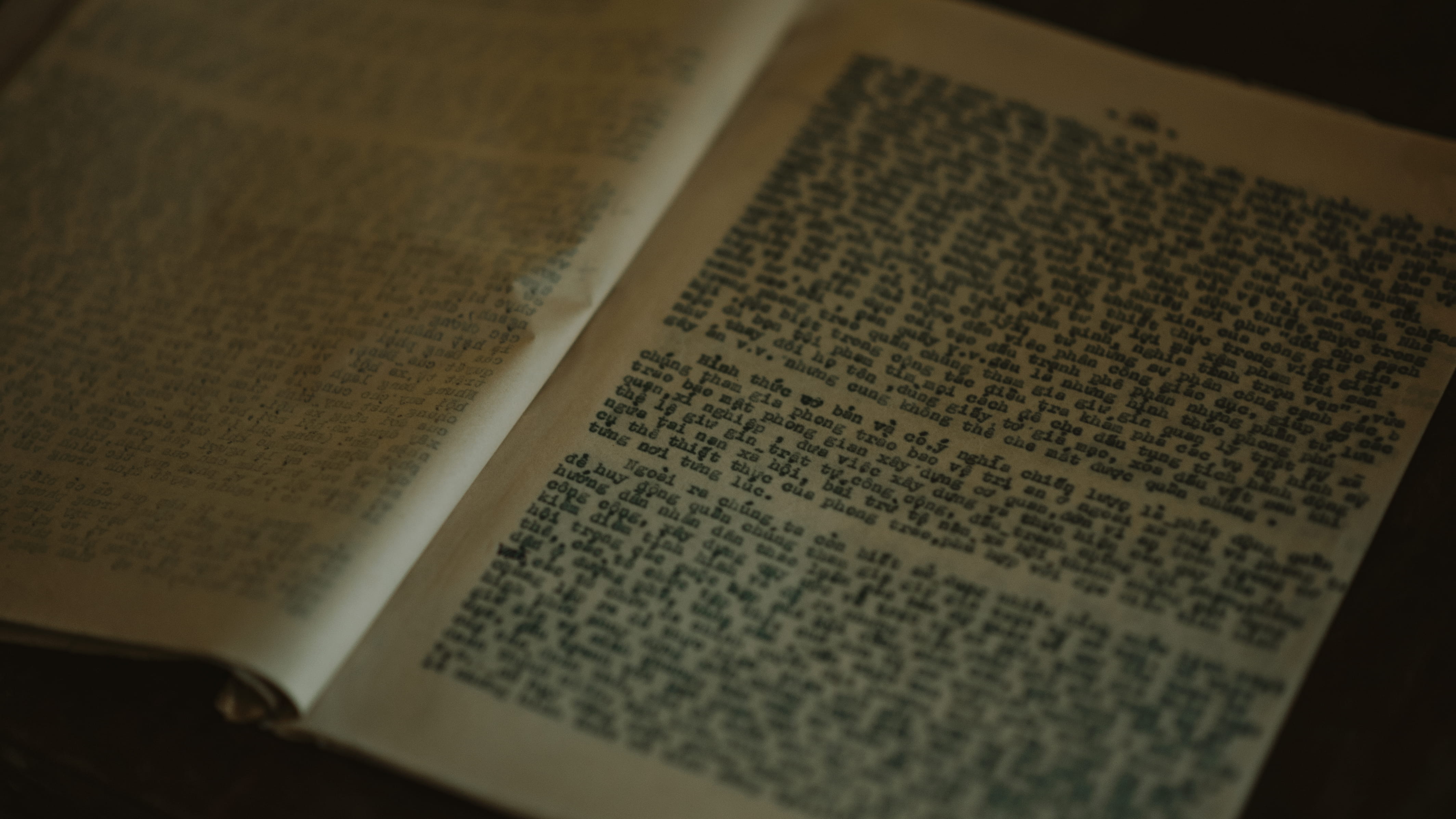 read, learn, white, high angle view, education, text, book series, selective focus, book, blur, indoors, document, information, scripture, belief, wisdom, HD Wallpaper