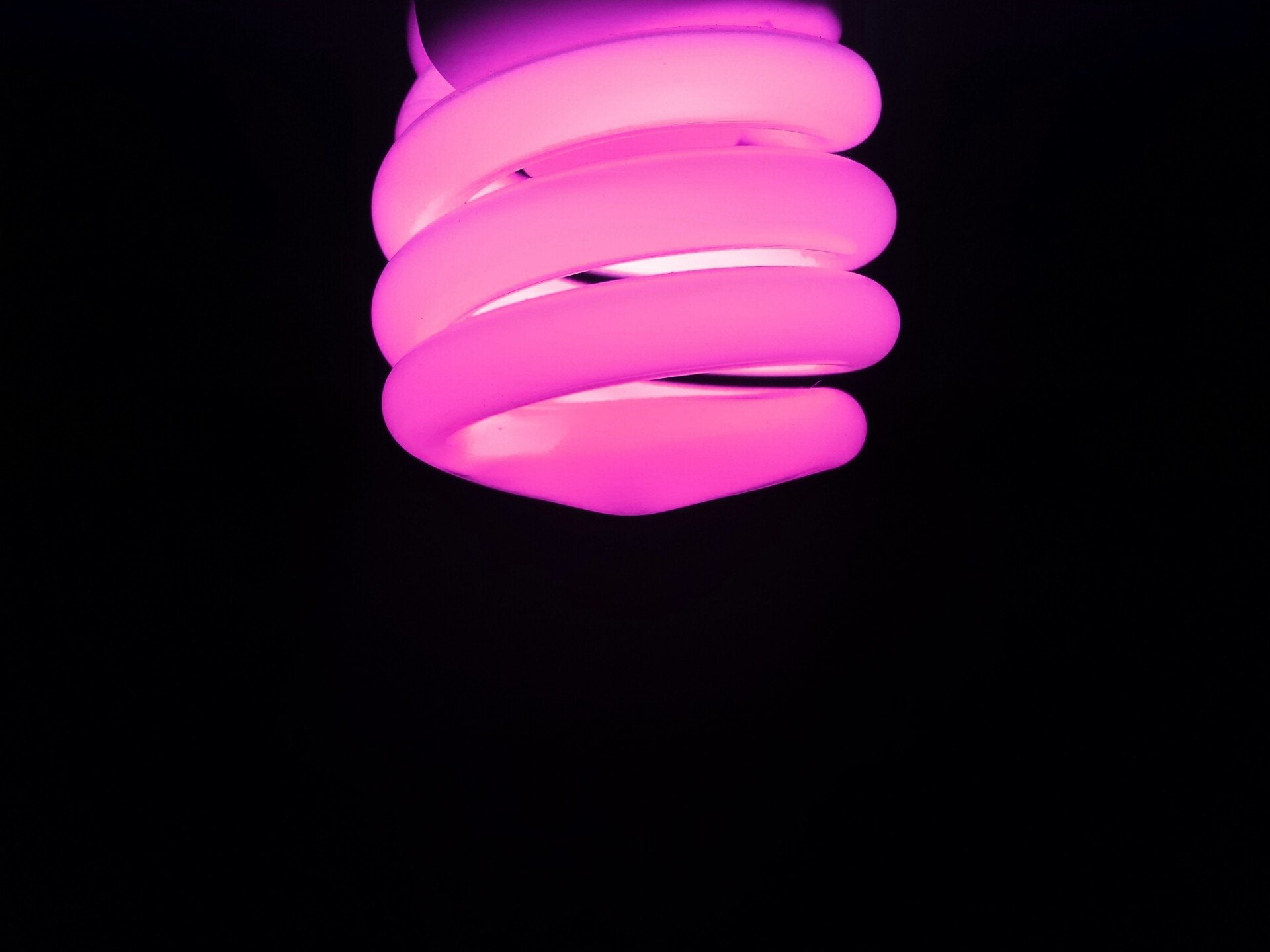 close-up, electricity, night, fluorescent light, electric light, fuel and power generation, spiral, no people, neon light purple, glowing, dark, energy efficient, HD Wallpaper