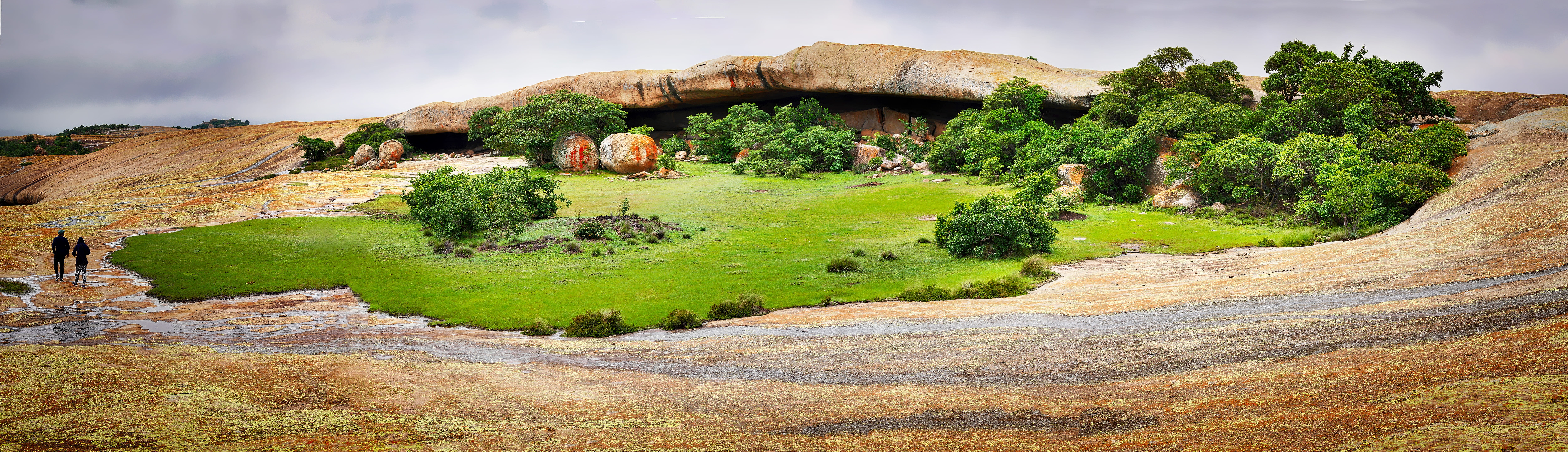 tree, sky, solid, nature, architecture, 8K, travel destinations, eroded, history, africa, rock formation, zimbabwe, plant, outdoors, non-urban scene, national park, HD Wallpaper
