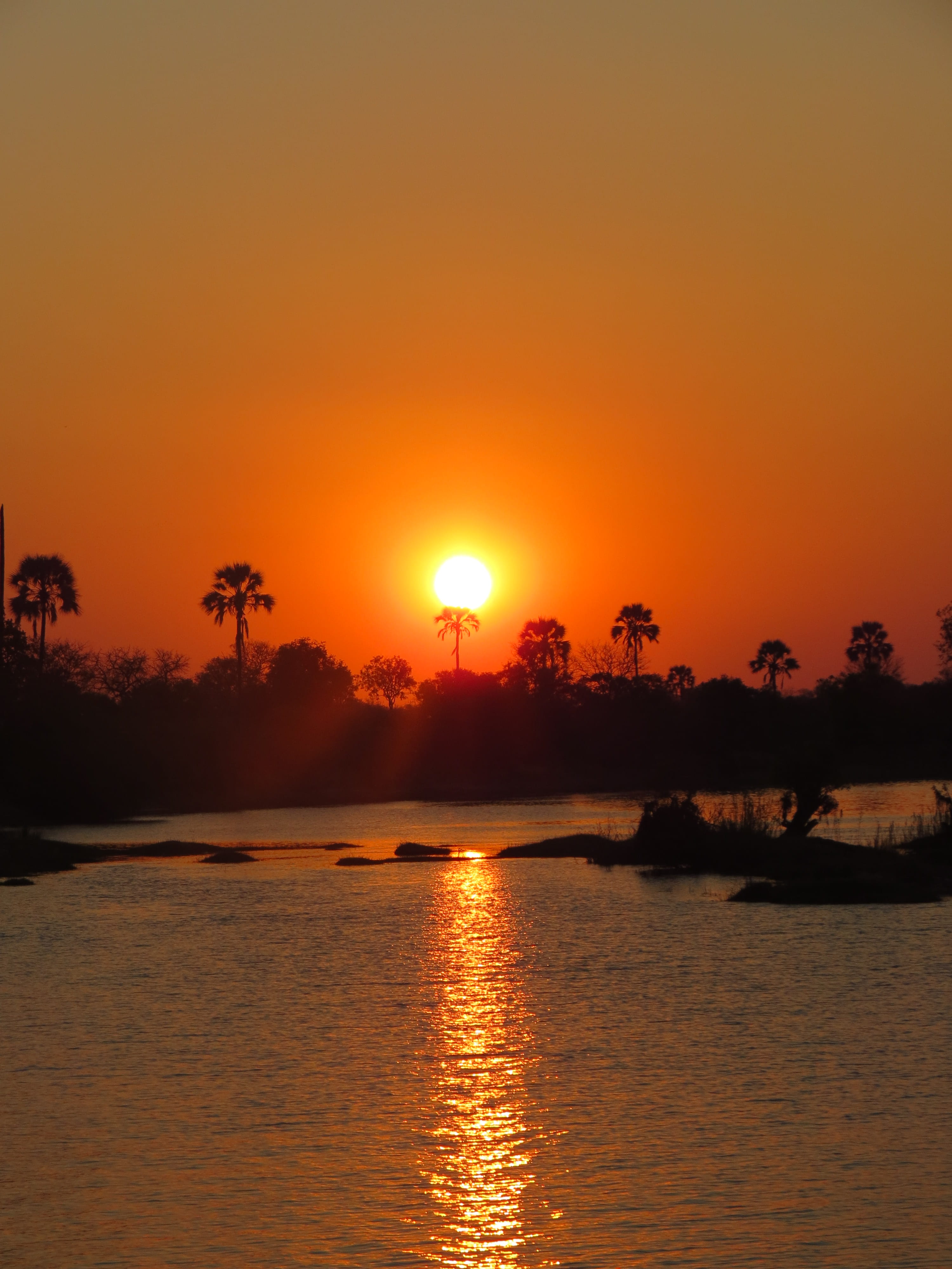 beauty in nature, silhouette, nature, river, lake, tranquil scene, sunset, orange color, sun, sky, waterfront, water, zimbabwe, reflection, sunlight, africa, Phone HD Wallpaper