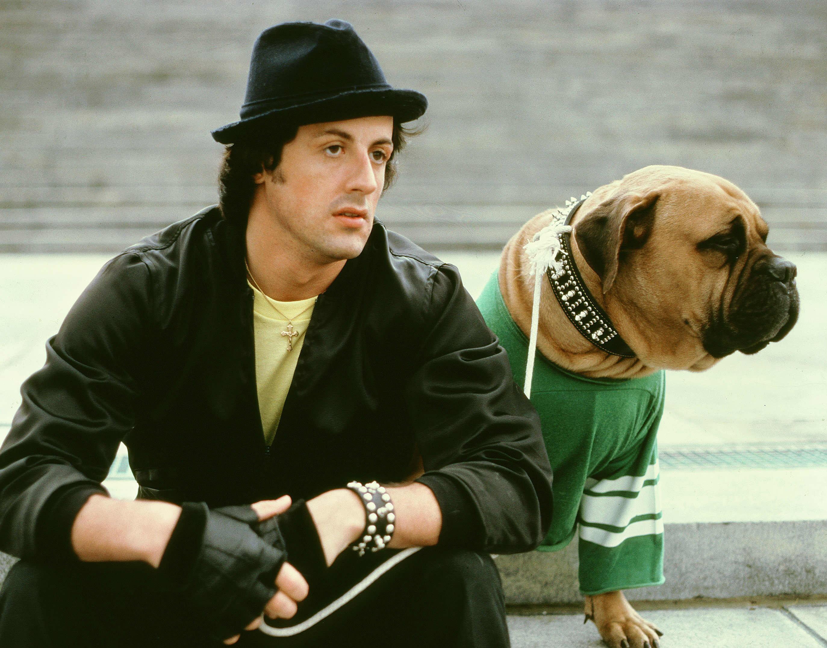 (2), sylvester, 2K, 145, rocky, movies, stallone, HD Wallpaper