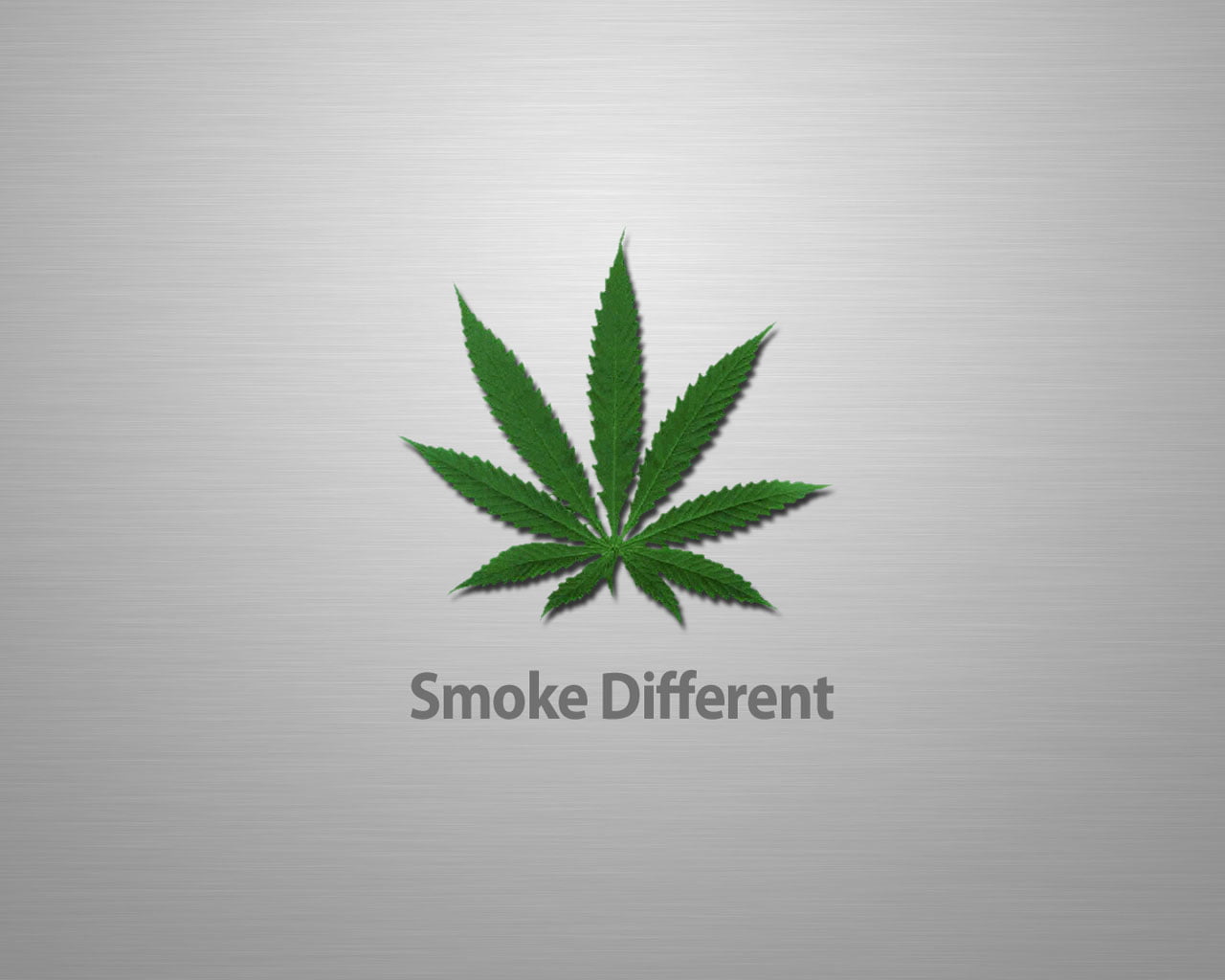 cannabis Plant, 720P, hashish, environment, leaf, narcotic, marijuana - Herbal Cannabis, food and drink, illustration, metal, growth, communication, plant, HD Wallpaper
